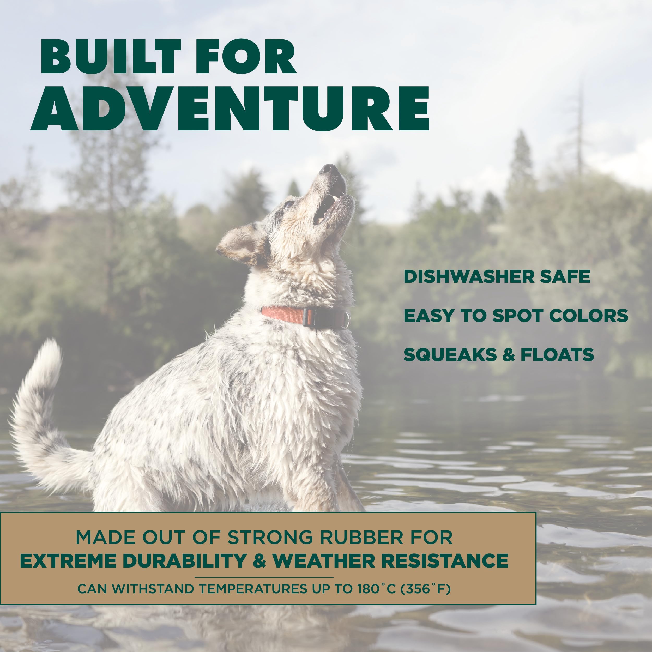 Hound2O Dog Toys - Squeaky Boomerang, Orange - Tough, Engaging, & Interactive For All Breeds- Chew, Chase, & Fetch - Durable Non