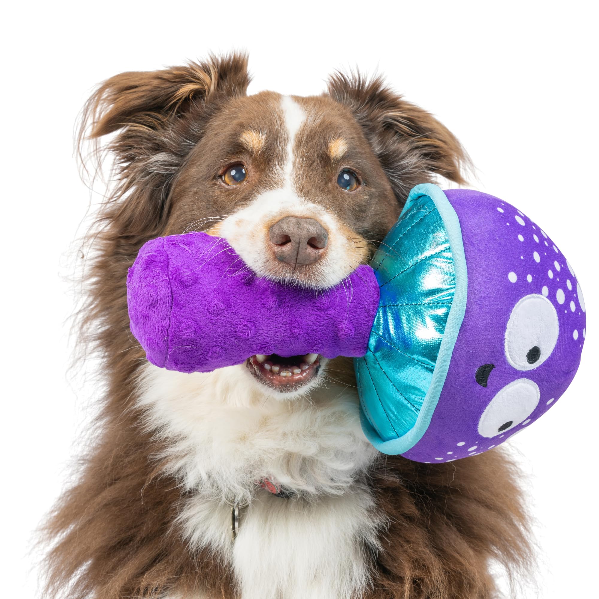 Huxley & Kent For Dogs | Mellow Mushroom (Large) | Funny Dog Toy | Power Plush Dog Toy With Squeaker | Dog Gift | Fun, Durable |