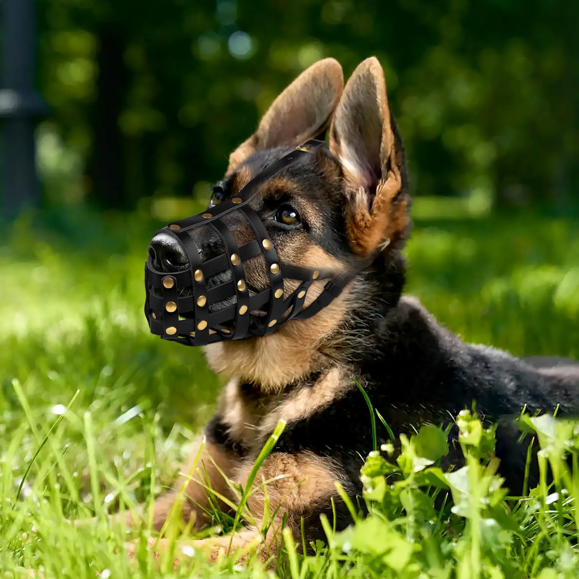 Oopsdoggy Doberman Dog Muzzle For Large Dogs - Leather Breathable Secure Basket Muzzle For Large Breeds Husky German Shepherd Pr