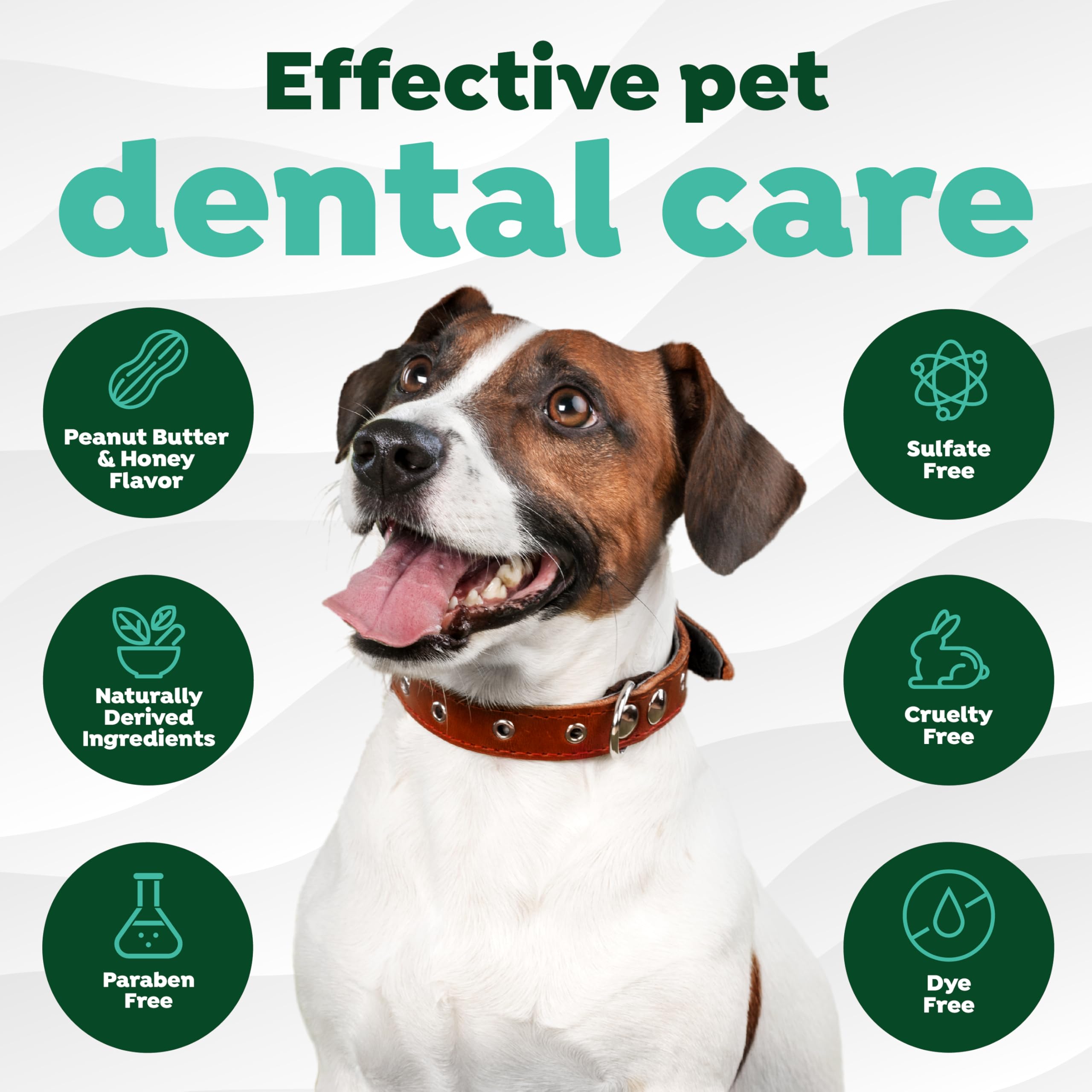 Tropiclean Fresh Breath - Kong Dental Ball For Small Dogs - Dog Teeth Cleaning Kit - Removes Plaque - Peanut Butter & Honey Dog