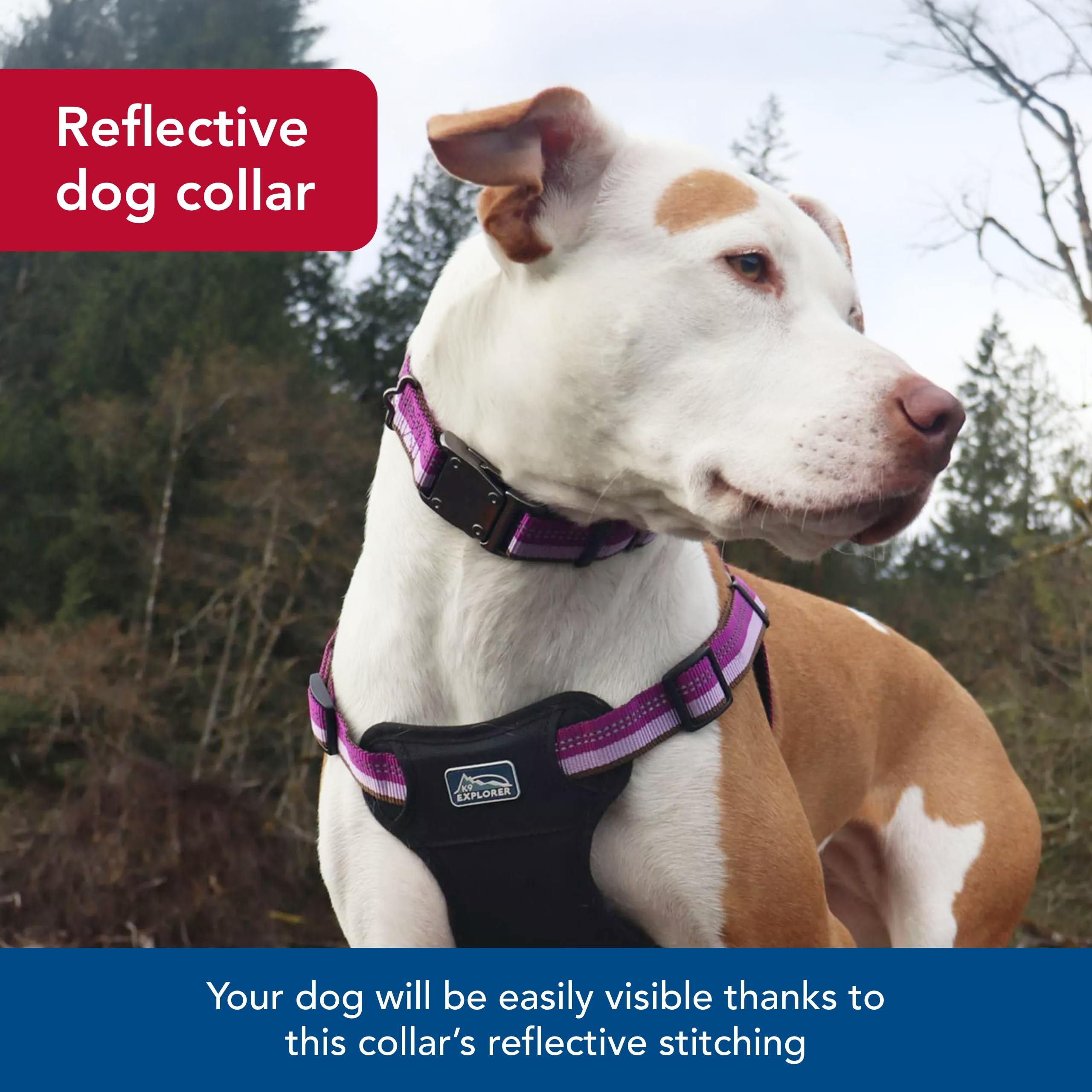 Coastal Pet K9 Explorer Reflective Adjustable Dog Collar - Comfortable Collar For The Outdoors - Durable, Lightweight Accessory With Side-Release Buckle - Berry, 1' X 12-18'