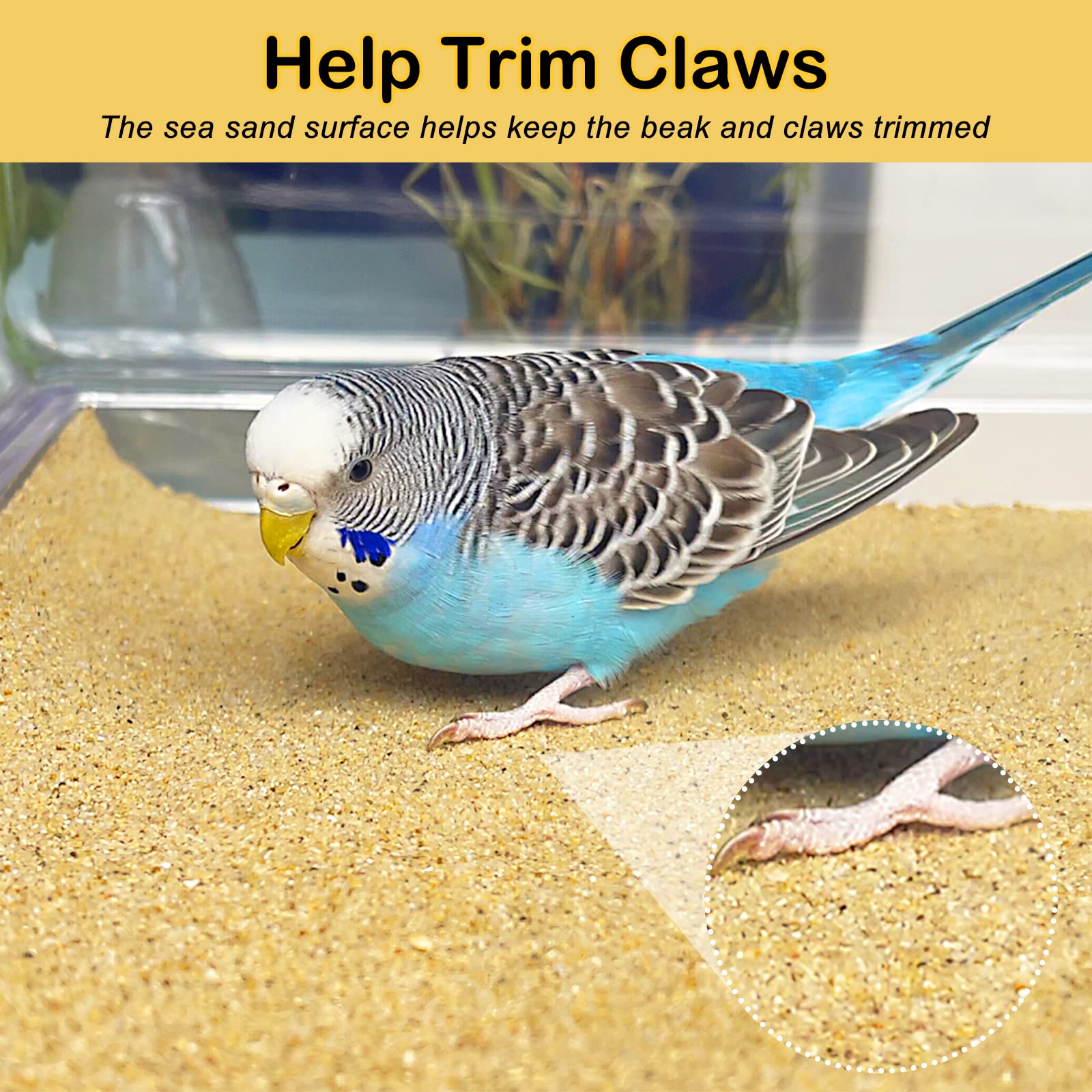 S&X Gravel Paper For Bird Cage 30-Pack 15 X 9.5 Cage Liner Paper  Sand Sheets For Enhanced Hygiene And Bird Health