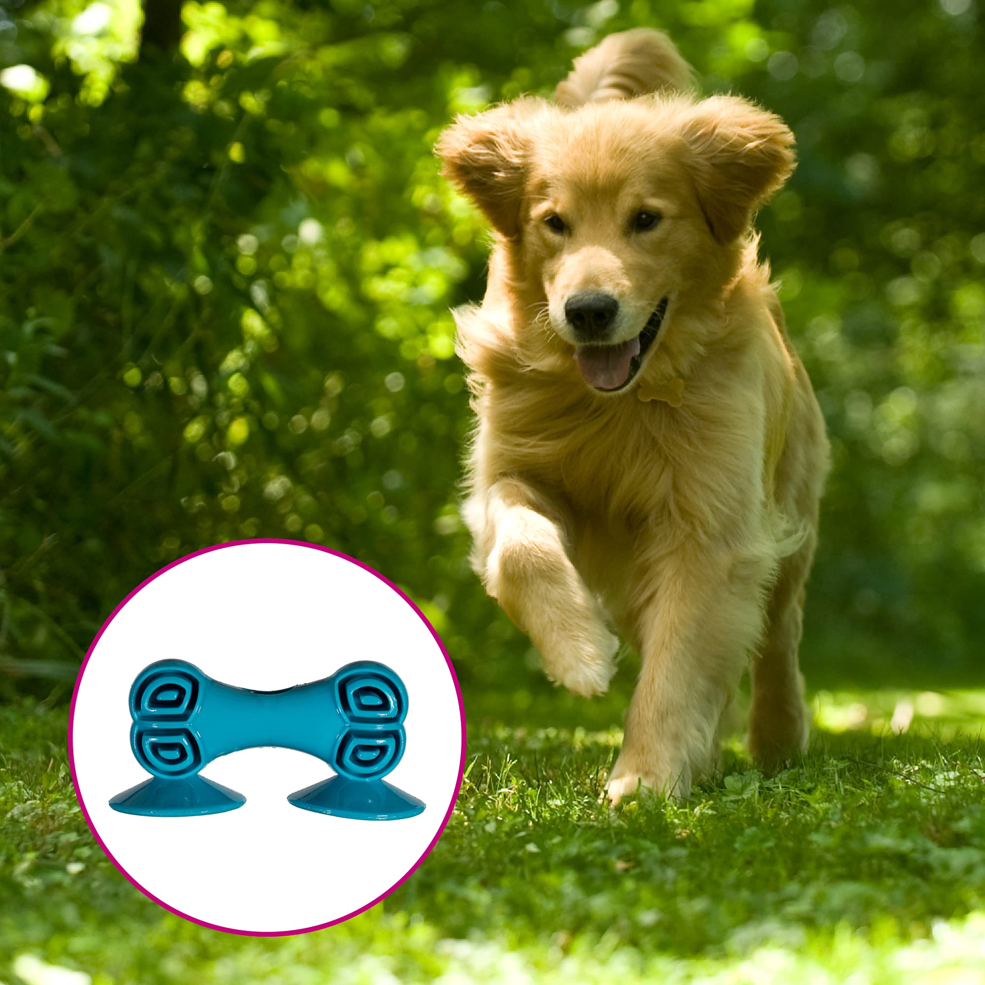 Chase n Chomp Sticky Bone Pet Chew Toy, Sticks to Floor and Flat Surfaces, Provides Hours of Fun for Your Dog, Fillable, Durabl