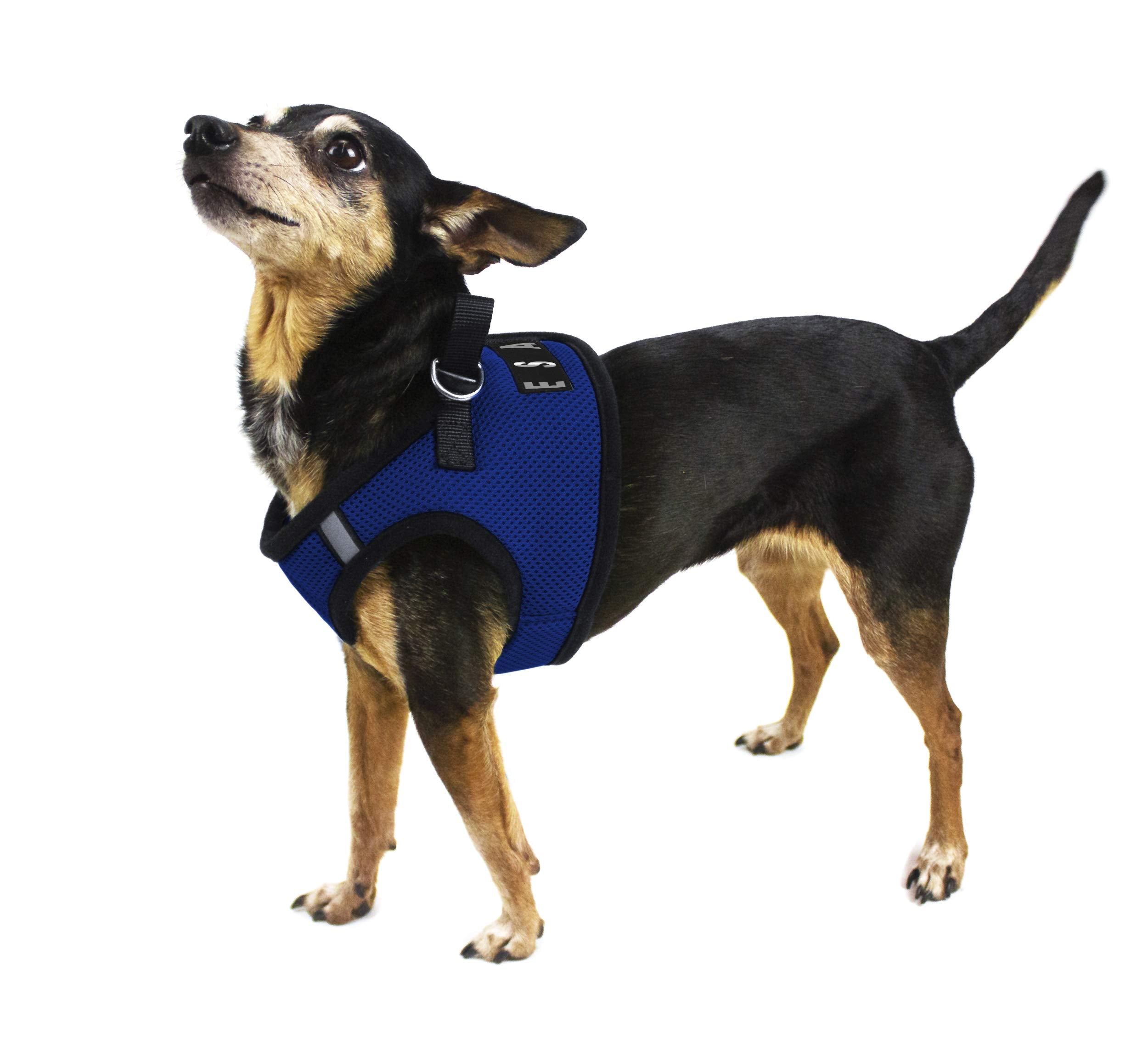 Dogline Boston Step In Mesh Dog Harness With Esa Patch No Choke Pet Vest Soft Gentle Padded Chest Halter For Puppies Small Medium And Large Dogs 16 To 18 Inches Girth Royal Blue