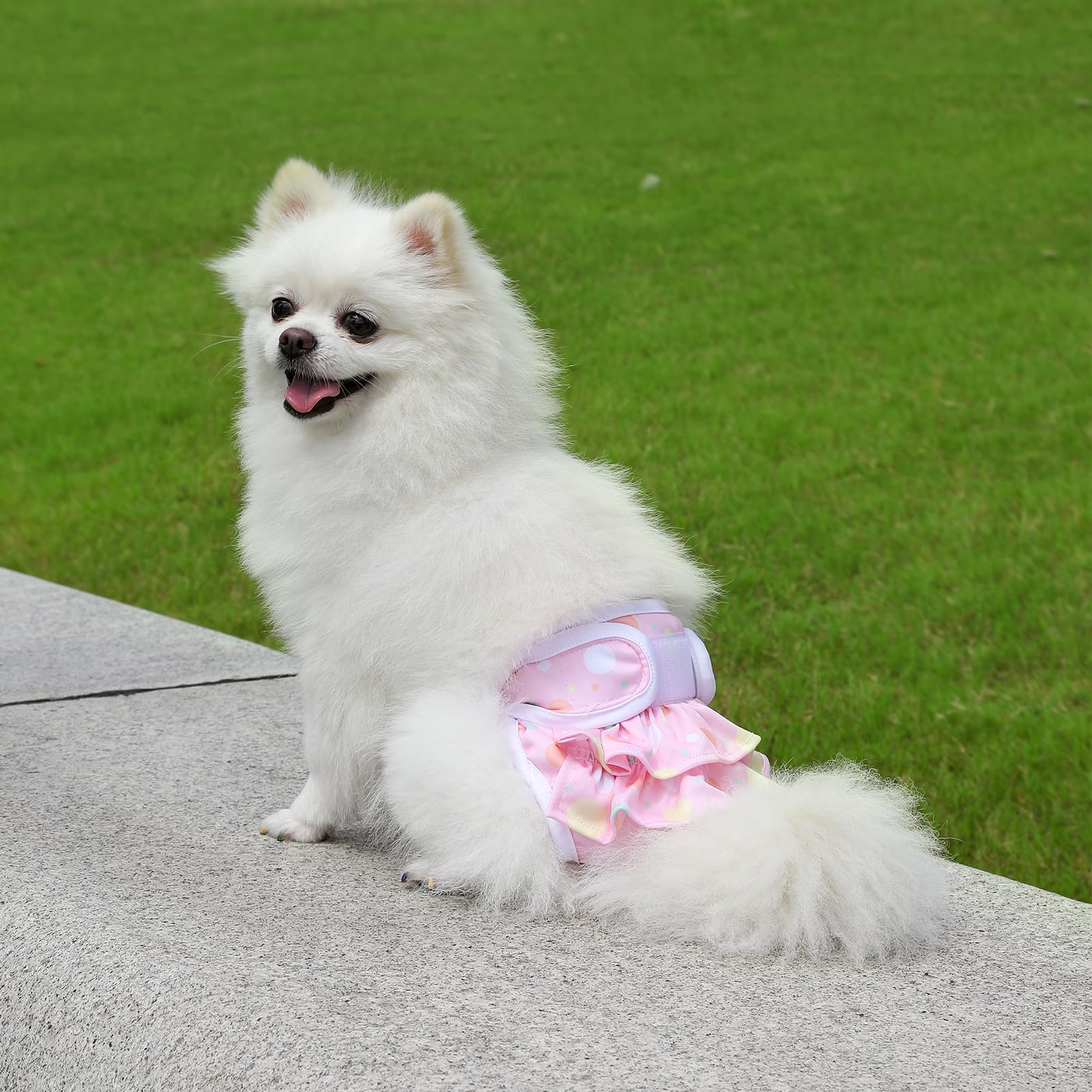 Washable Dog Diapers Female 3 Pack Reusable Highly Absorbent Puppy Diapers, Premium Doggie Diapers, Durable Leak-Proof Dot Doggy