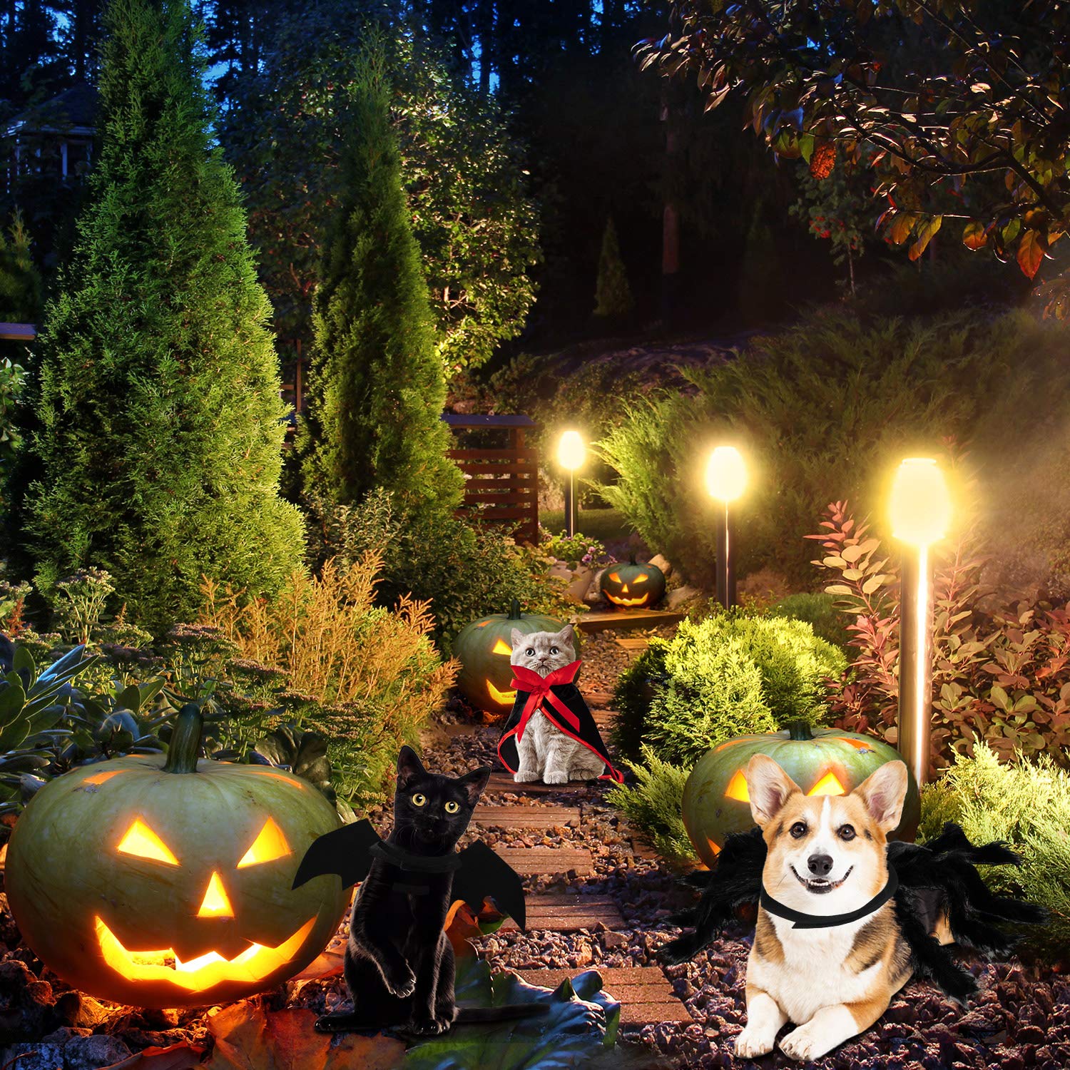 3 Piece Halloween Cat Dog Costume Set, Pet Bat Witch Vampire Pumpkin Cloak Giant Imitation Pet Spider Pets Costume Cosplay Accessories Halloween Pets Decoration For Dogs Puppy Cats (Gothic,M)