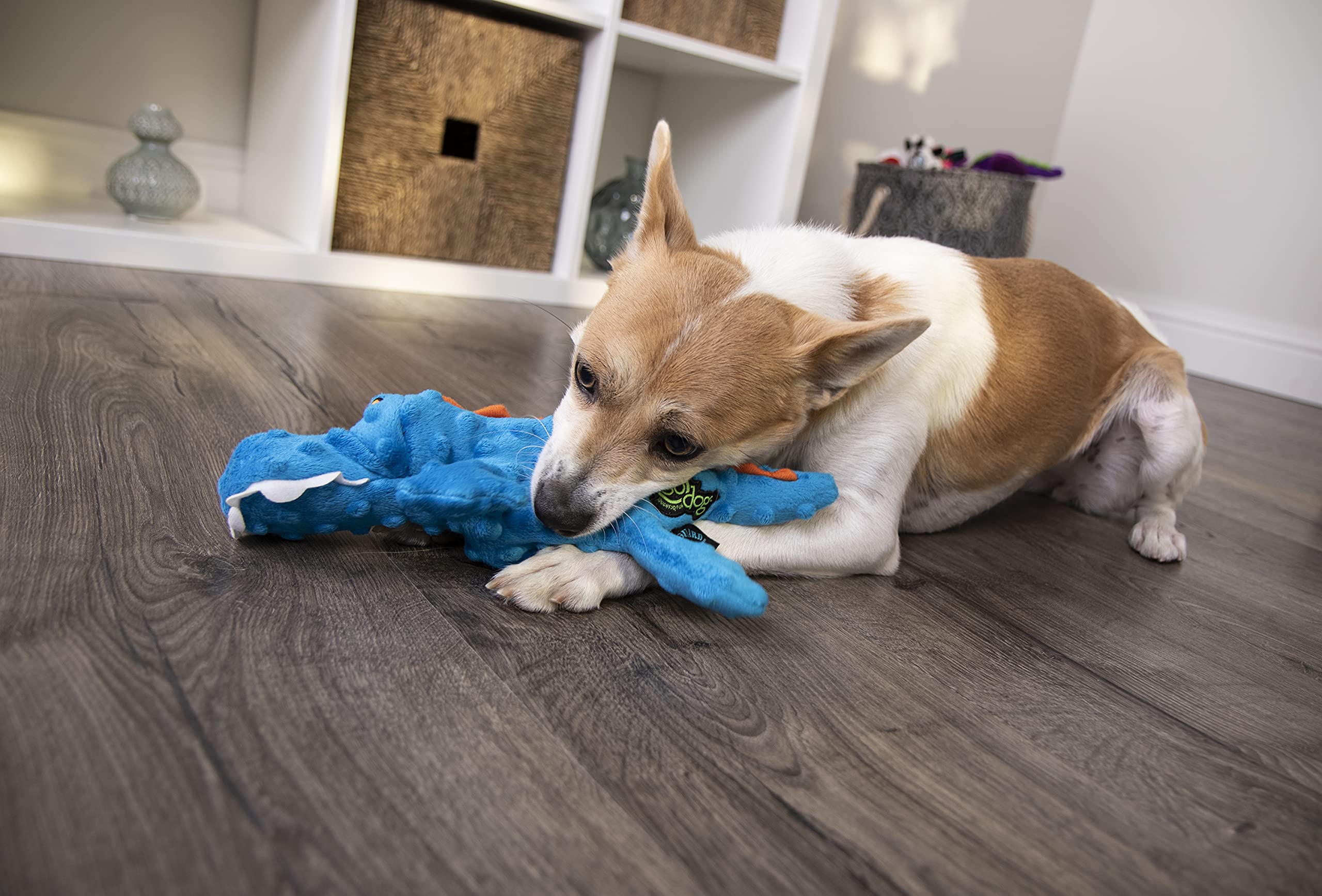Godog Gators Squeaky Plush Dog Toy, Chew Guard Technology - Blue, Small