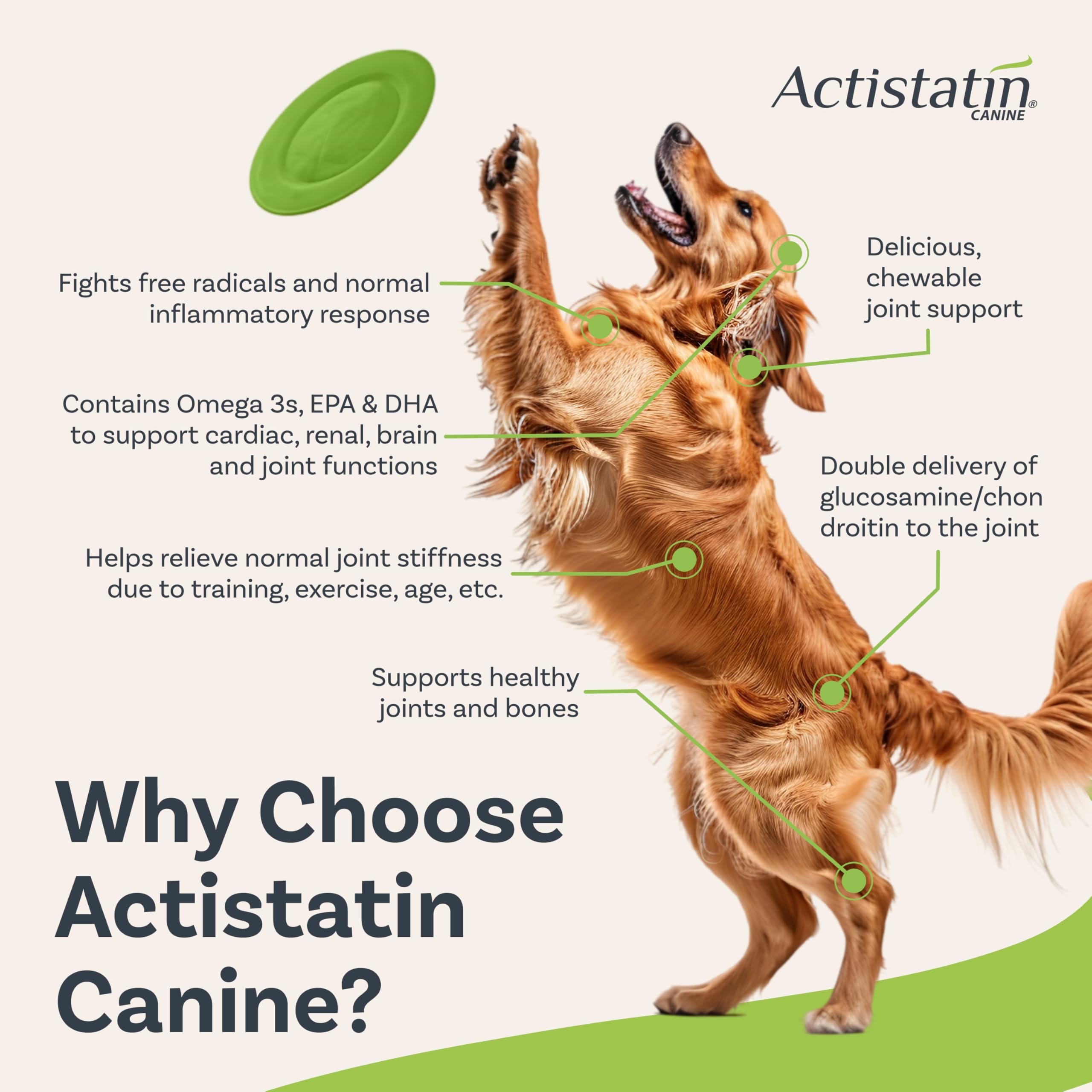 Actistatin Canine Large Dog Soft Chews, 60ct - Patented Extra-Strength Joint, Cartilage, Soft Tissue Supplement: Glucosamine, Ch