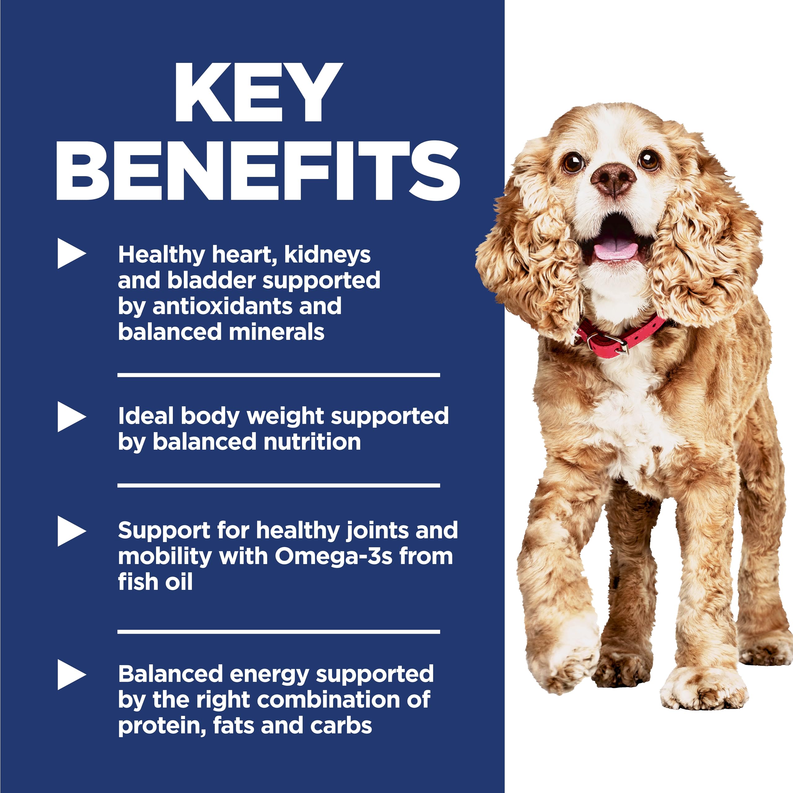 Hills Science Diet Small & Mini, Senior Adult 11+, Small & Mini Breeds Senior Premium Nutrition, Dry Dog Food, Chicken, Brown R