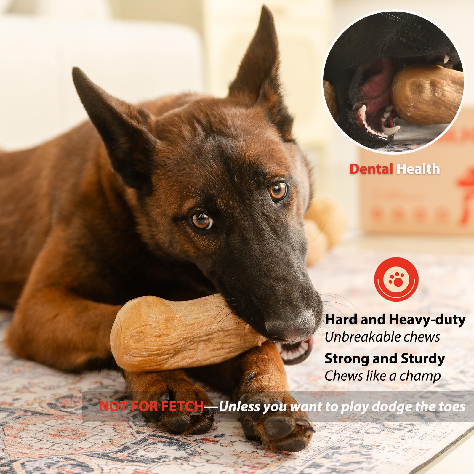 Willjoy 2-Pack Tough Dog Toys for Aggressive Chewers, Pine Wood and Nylon Dog Chew Toys, Aggressive Chew Toys for Large Dogs, Ba