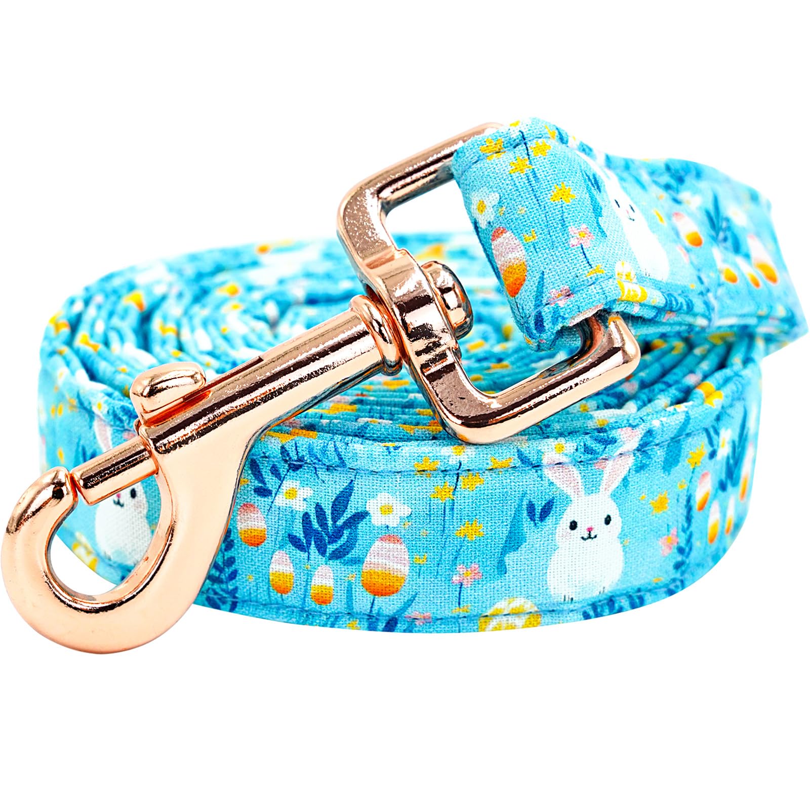 Lionheart Glory Easter Strong Dog Leash, Spring Summer Durable Dog Leashes With Soft Handle For Walking Training Small Male Or F