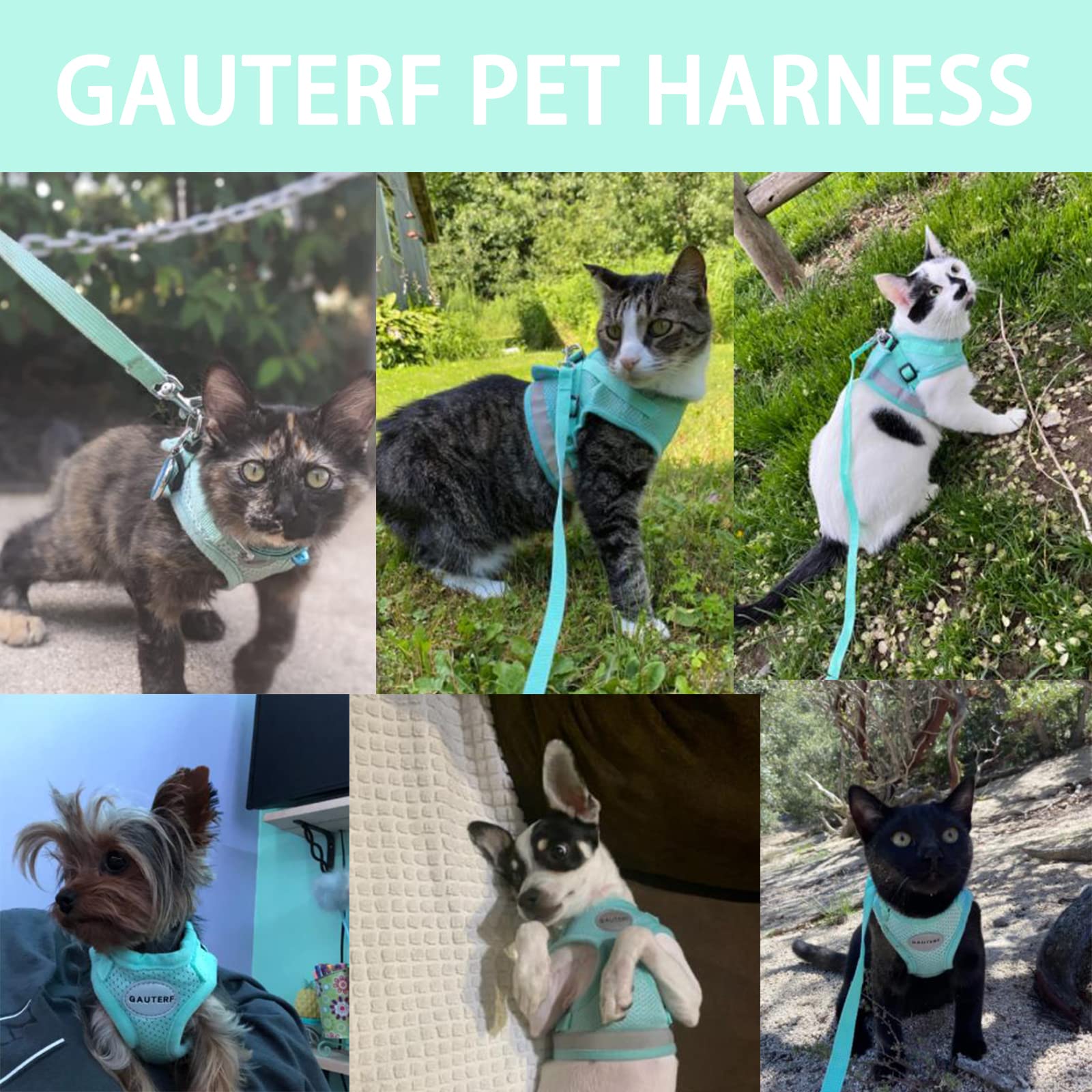 GAUTERF Adjustable Reflective Cat and Puppy Harness with Leash Set, Escape Proof Soft Mesh Vest, Cyan, XS (Chest: 6 - 8)