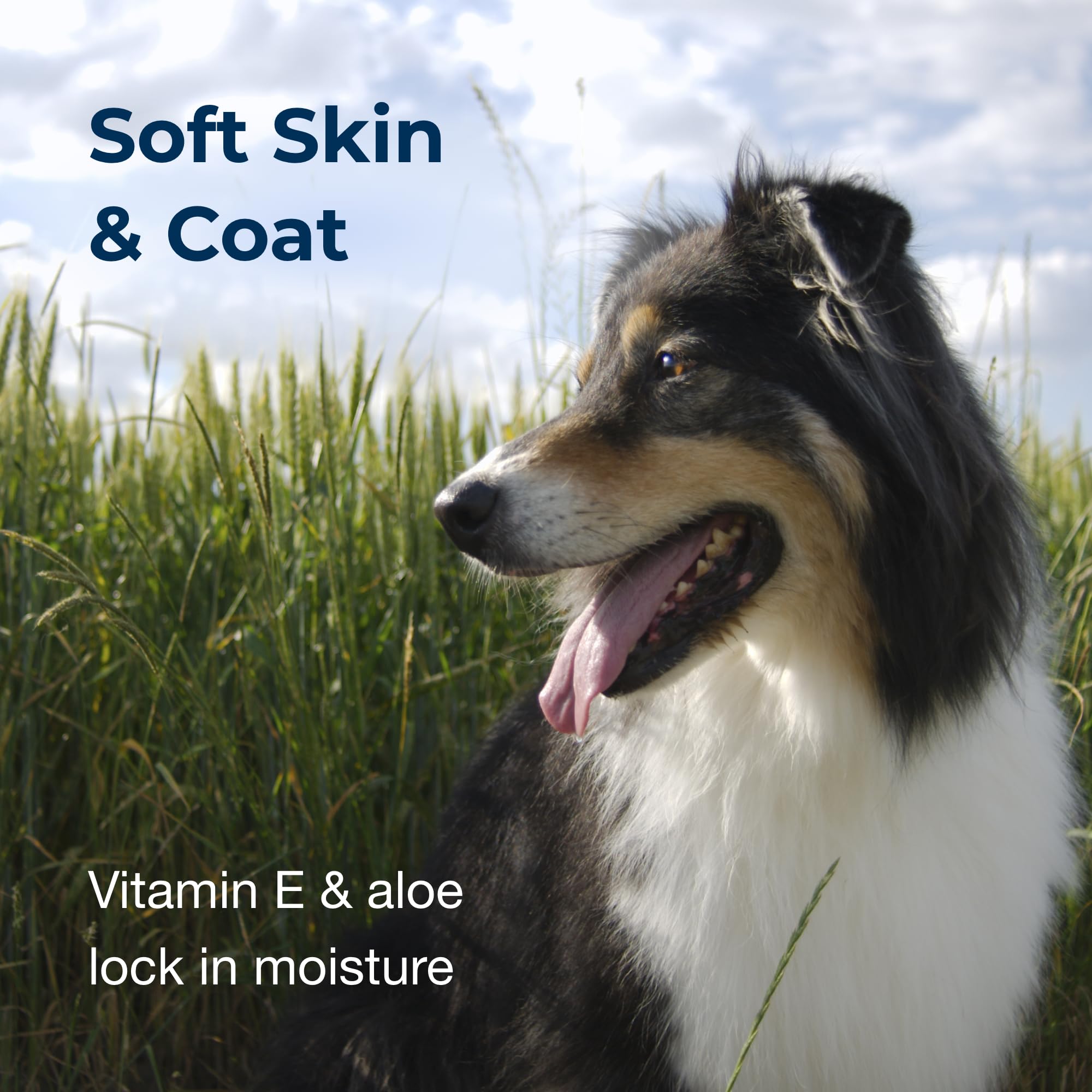 Pet-Ag Fresh ‘N Clean Good Sport Deodorizing Shampoo For Dogs - 18 Oz - Powerful, Odor-Control Formula With Aloe Vera & Vitamin E - Soap Free & Paraben Free