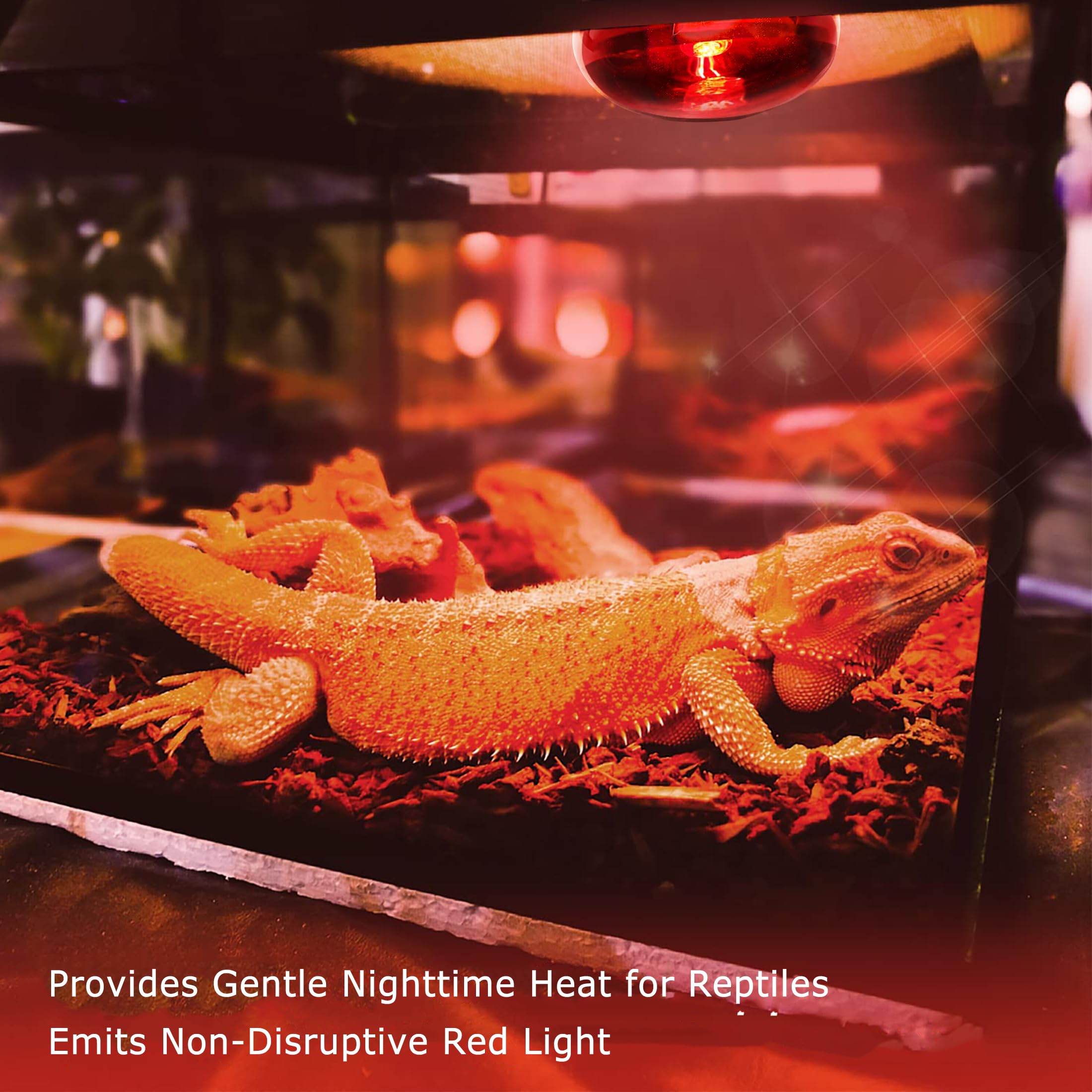 HARTOMPET 100W UVA Infrared Heat Lamp Bulb, Red Basking Spot Light for Lizard, Leopard Gecko, Turtle, and Chicks, High-Performan
