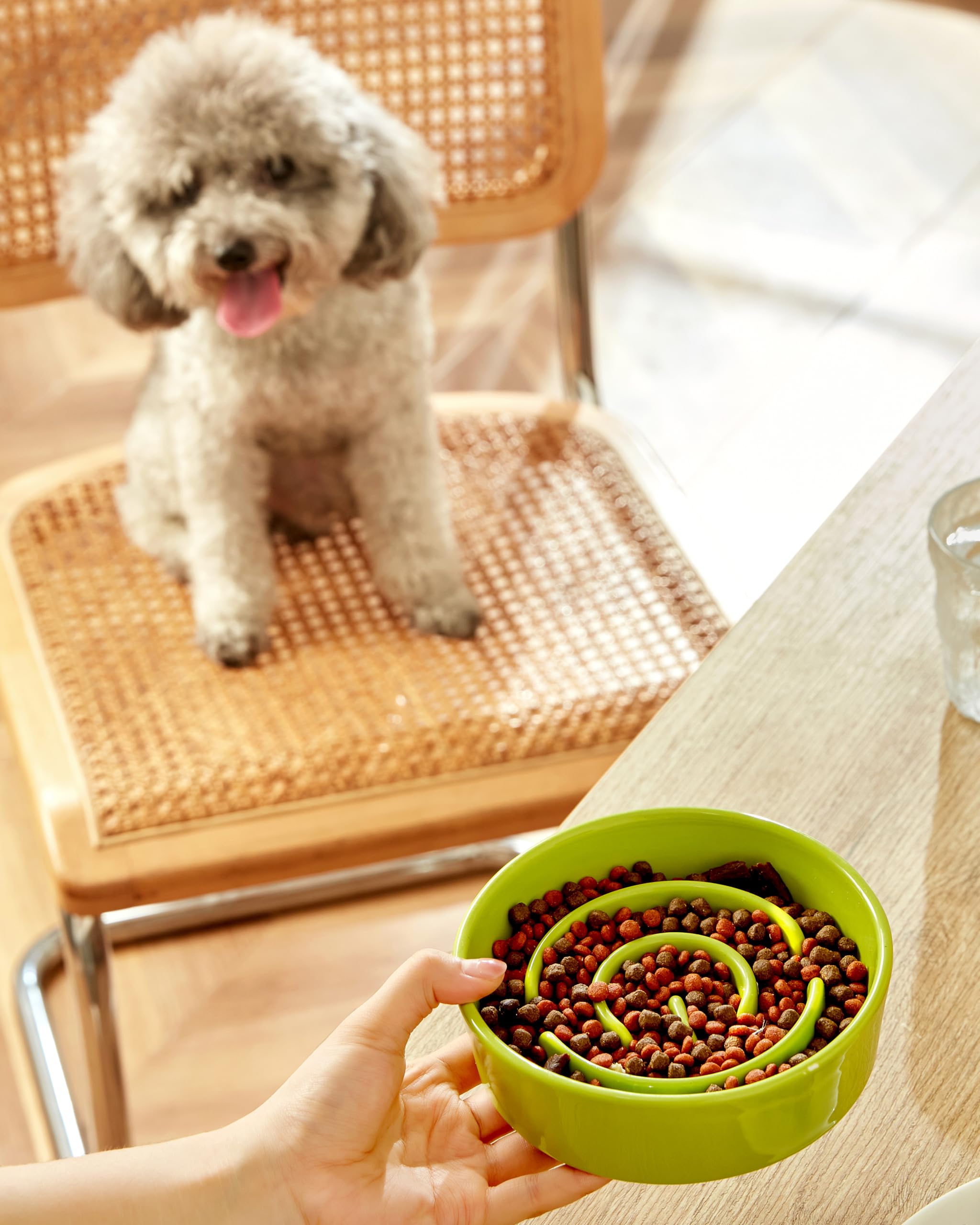 Mopang Ceramic Slow Feeder Dog Bowls, 0.6 Cup Slow Feeder For Small Dogs And Cats, Puzzle Maze Bowl, Prevents Choking, 6In, Gree