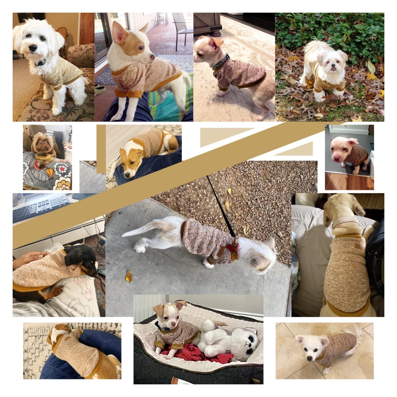 Jecikelon Dog Clothes Dogs Sweater Soft Puppies Clothing Winter Puppy Sweaters Warm Outfit For Dogs Small Xxs Xs Cat Apparel (Kh