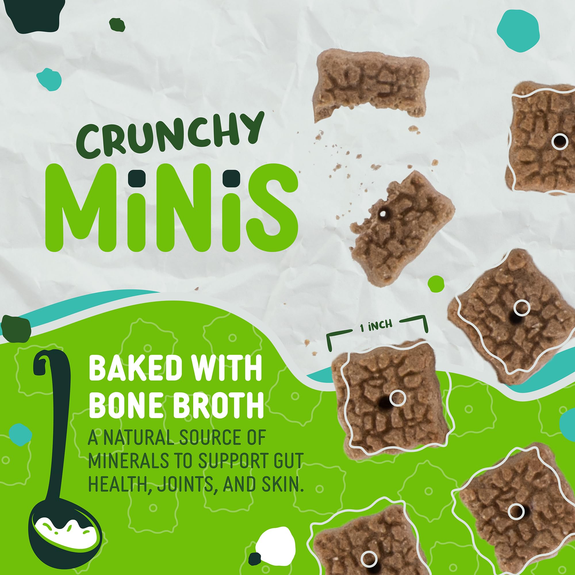 Earthborn Holistic EarthBars Minis with Turkey Protein Natural Dog Biscuit Treats 2 lb