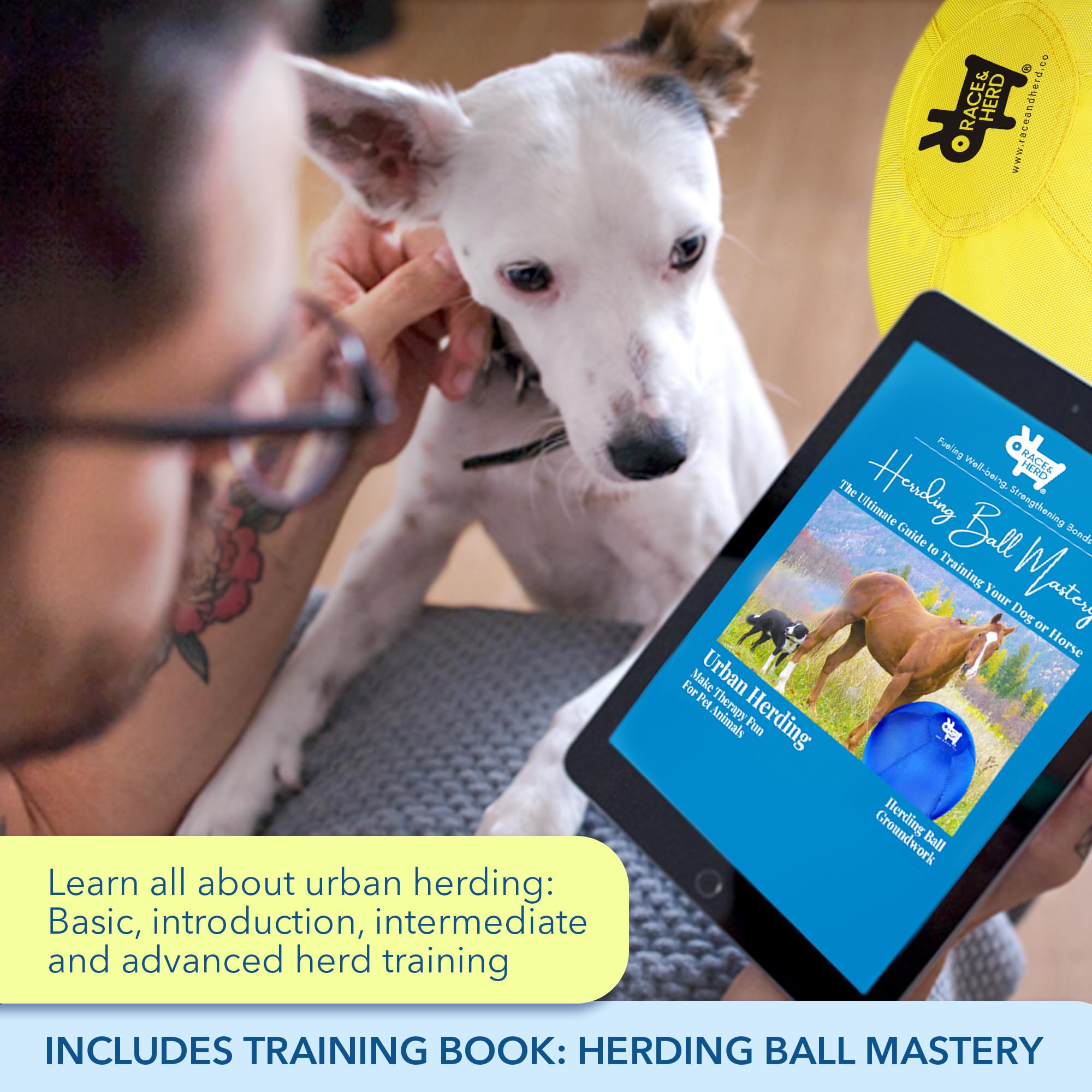 Race&Herd Herding Ball for Dogs - 18" Blue Ball with Cover & Pump, Ideal for Small Dogs and Puppies, Durable Nylon Material