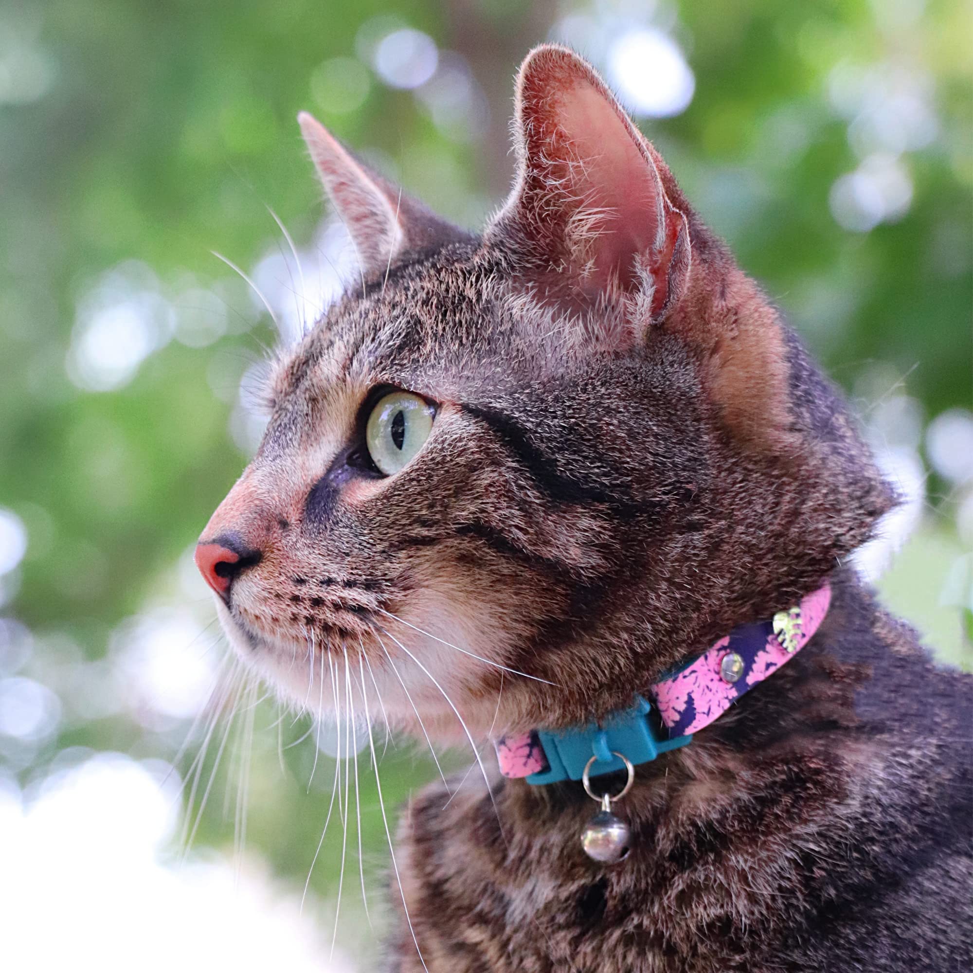 Kittyrama Botanicals Fern Cat Collar. Award Winning. Hypoallergenic, Quick Release Breakaway, Comfy & Soft. Vet Approved. Other