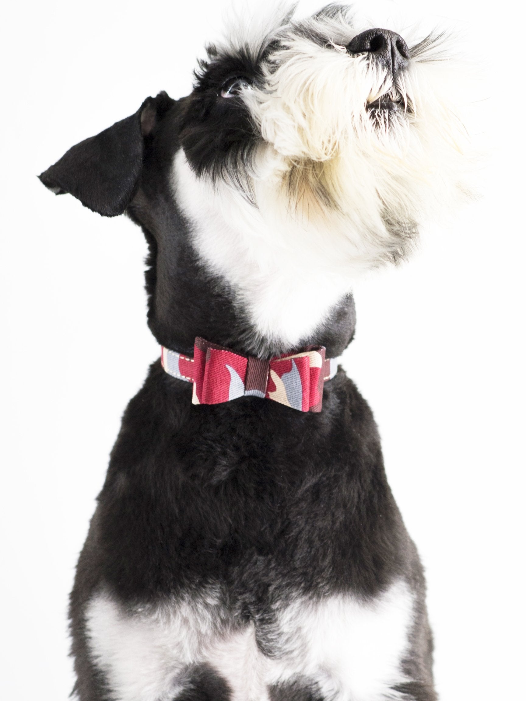 Gyapet Small Dog Collar Puppy Cat Tiny Pet Bow Tie & Bandana 2Pcs Set Pu Leather Canvas Scarf Durable Camo-Red