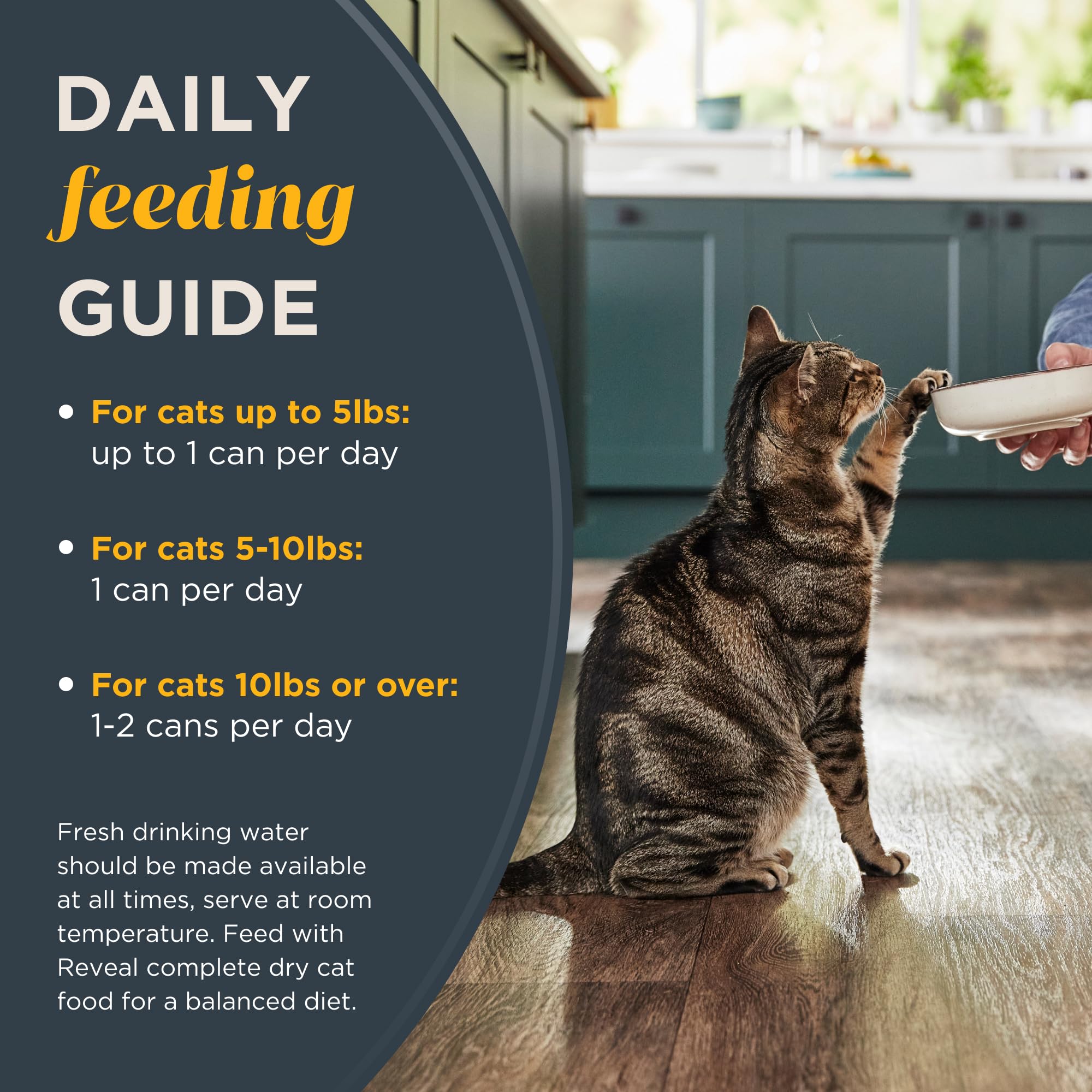 Reveal Natural Wet Cat Food, 24 Count, Grain Free, Limited Ingredient Canned Food for Cats, Ocean Fish in Gravy, 2.47 oz Cans