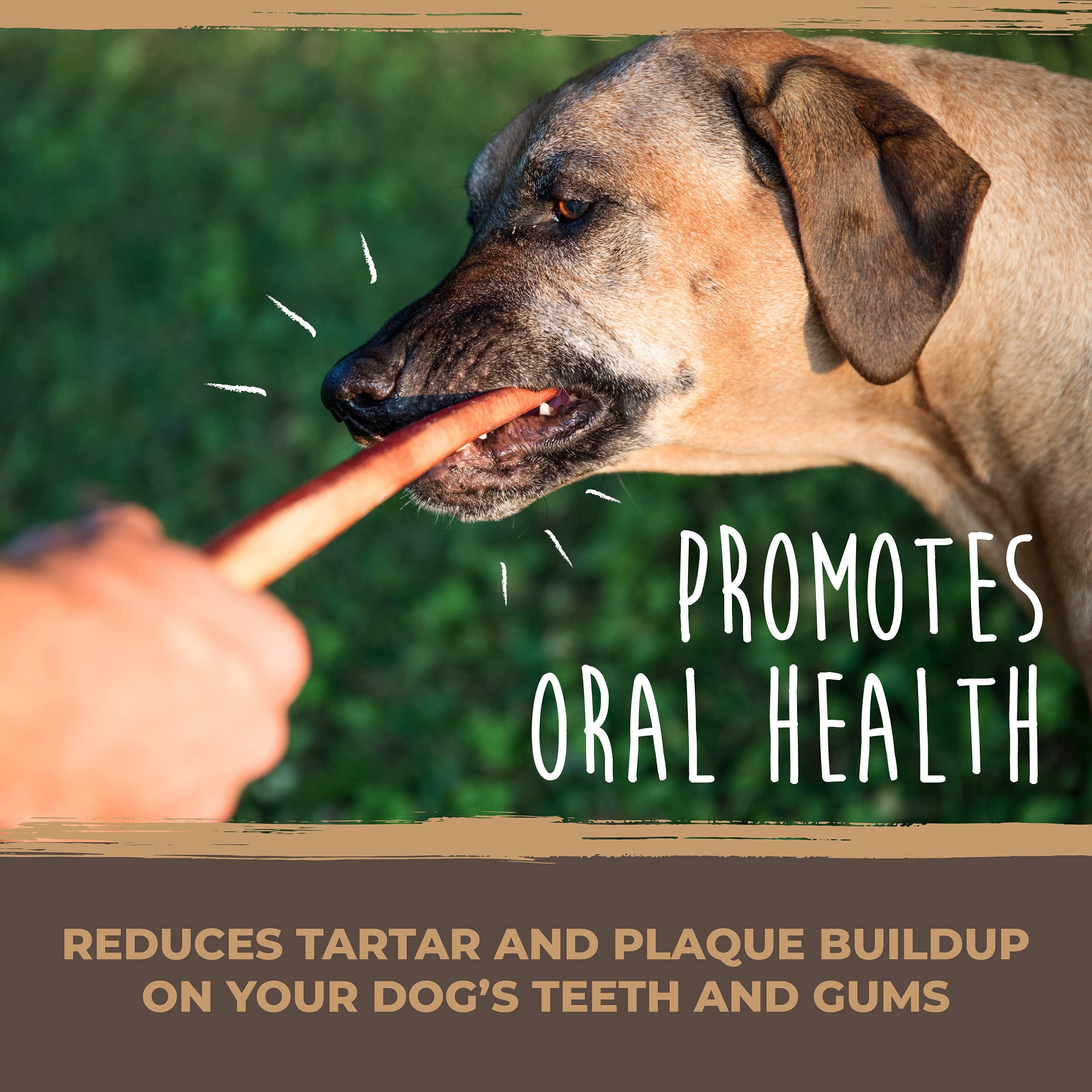 Mighty Paw Naturals Large Bully Sticks for Dogs, Protein Rich Dog Chews from Grass-Fed Beef | Thick Bully Sticks for Dental Heal