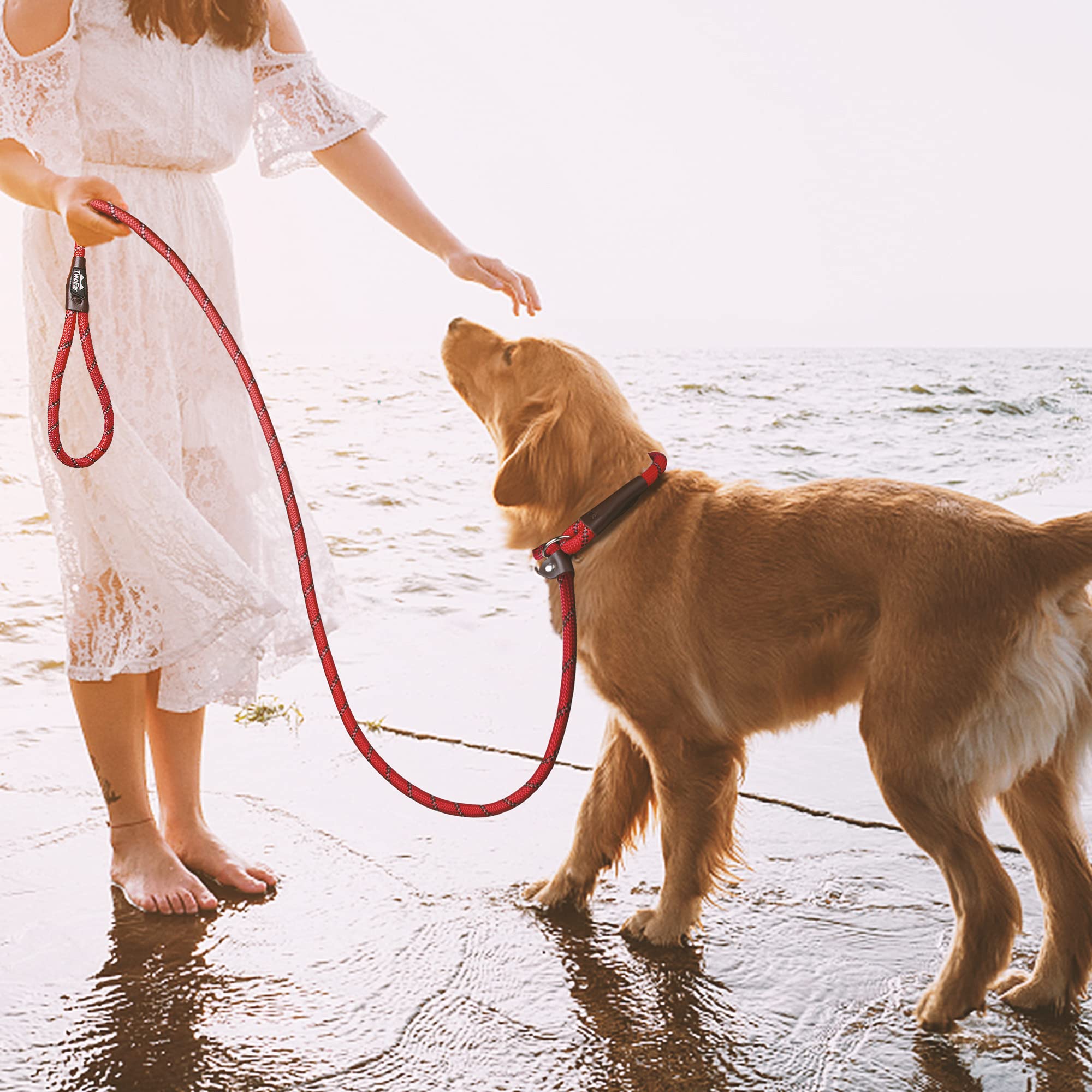 Twoear Dog Leash Dog Slip Rope Leash 6Ft Dog Training Leash Heavy Duty Strong Slip Lead Highly Reflective Threads For Small Medium And Large Dogs (Slim(3/8''X6Ft), Red)