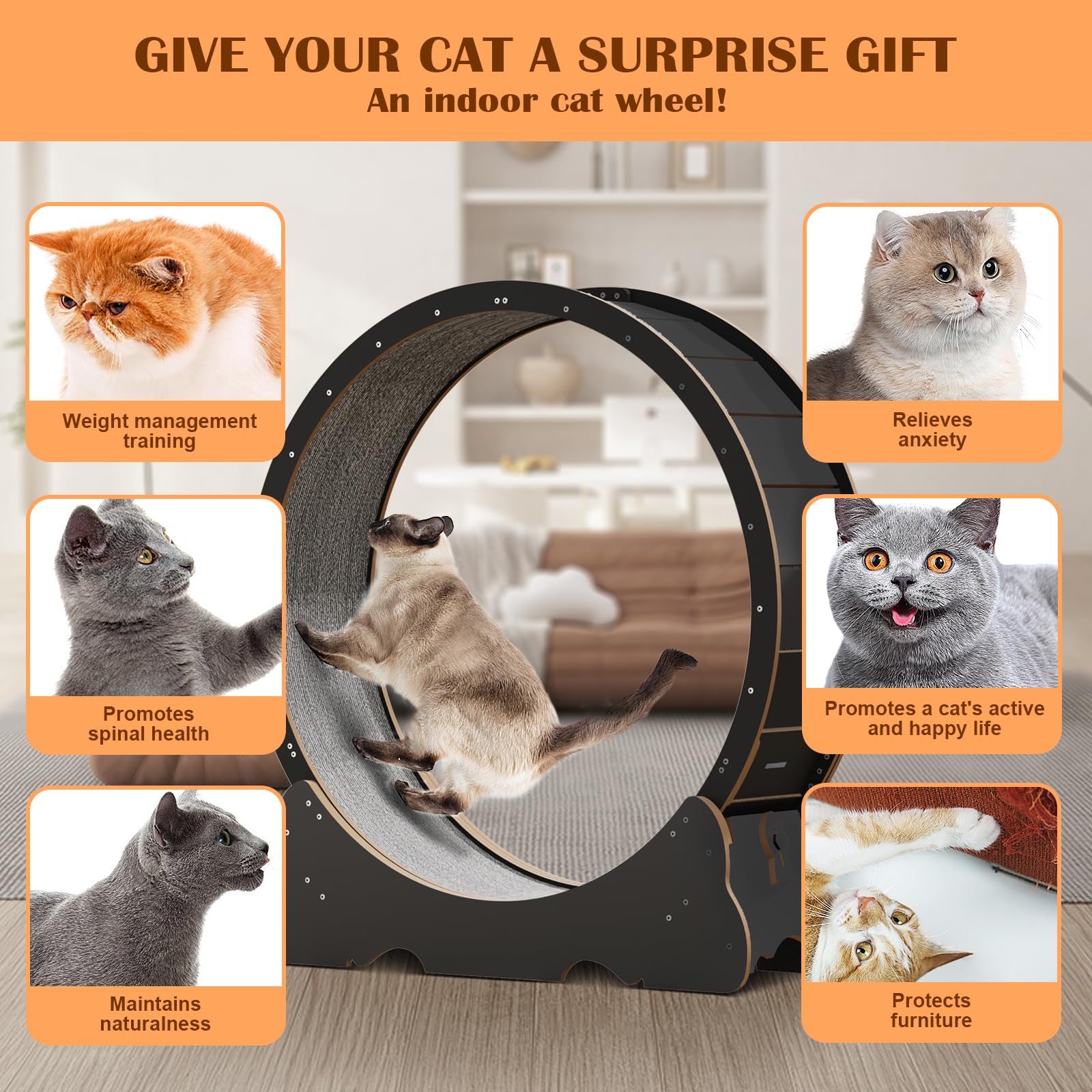 Cat Wheel, 47'' Xl Large Cats Exercise Running Wheel, Cat Treadmill For Indoor Cats