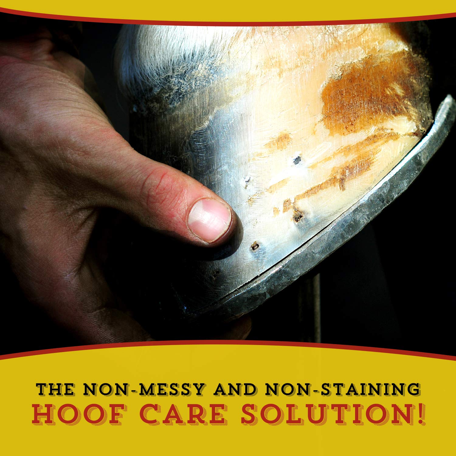 Dr. Naylor Hoof N Heal, Hoof Rot Foot Rot Wound Care, 16oz, Sheep Goat Cow Horse, 1-pack
