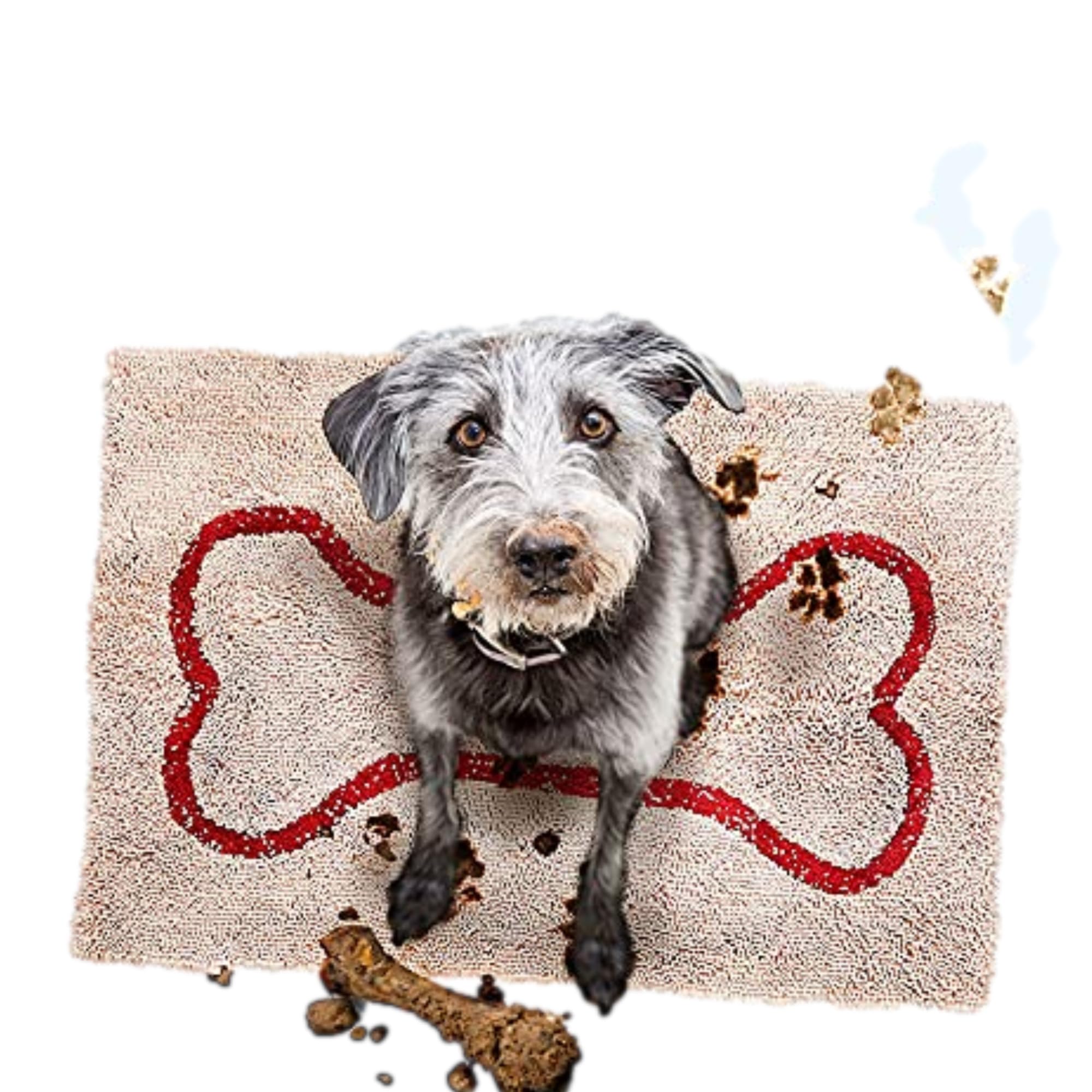 Soggy Doggy Doormat with Bone Design | Beige/Red Bone | Large 26    x 36    | Ultra Absorbent Microfiber Chenille Wet Dog Mat fo
