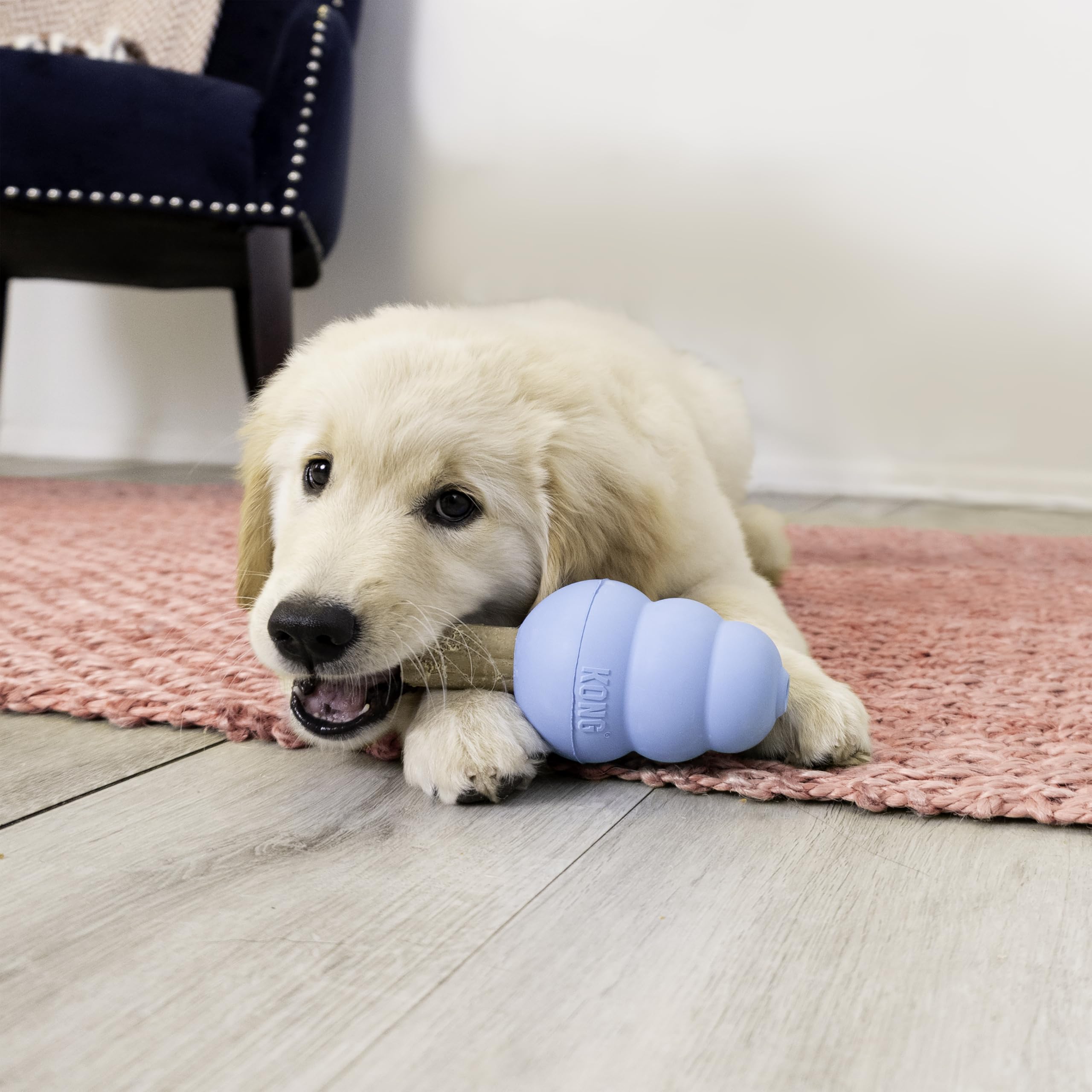 KONG Puppy Ziggies Enhanced Teeth Cleaning Dog Treats - Can Be Used Rubber Classic Toys (Medium/Large)