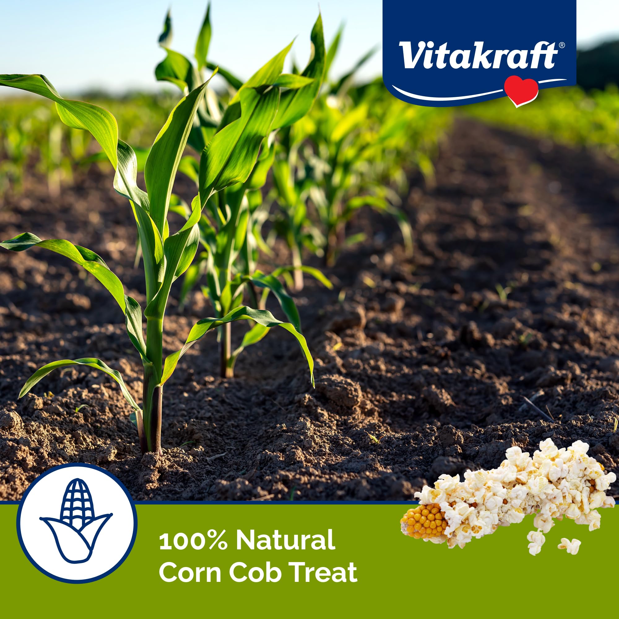 VC MINI POP INDIAN CORN TREAT
