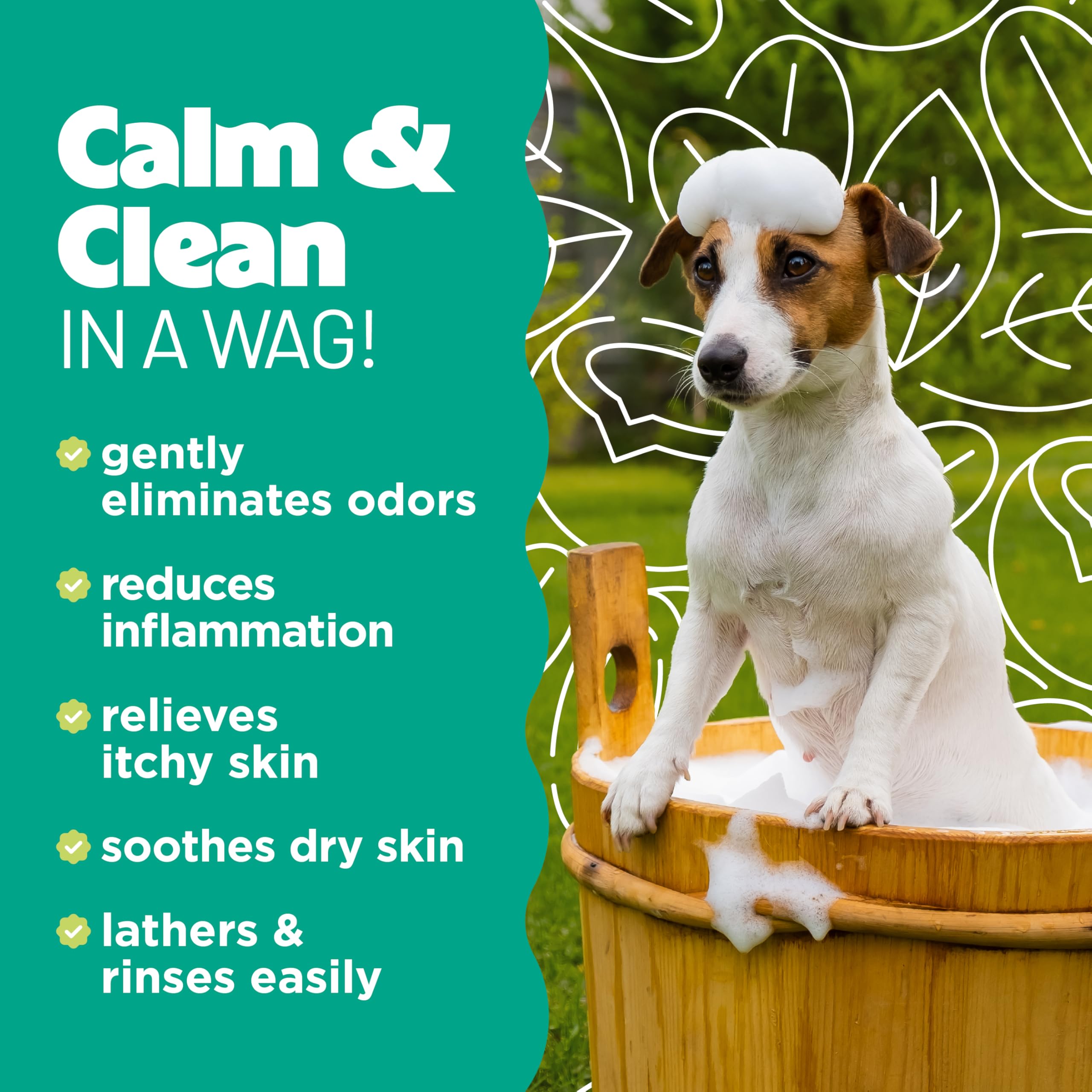 TropiClean Oatmeal Dog Shampoo for Itchy Skin Relief, Professional Dog Shampoo, Soothing Medicated Itch Relief, Puppy Safe, Made