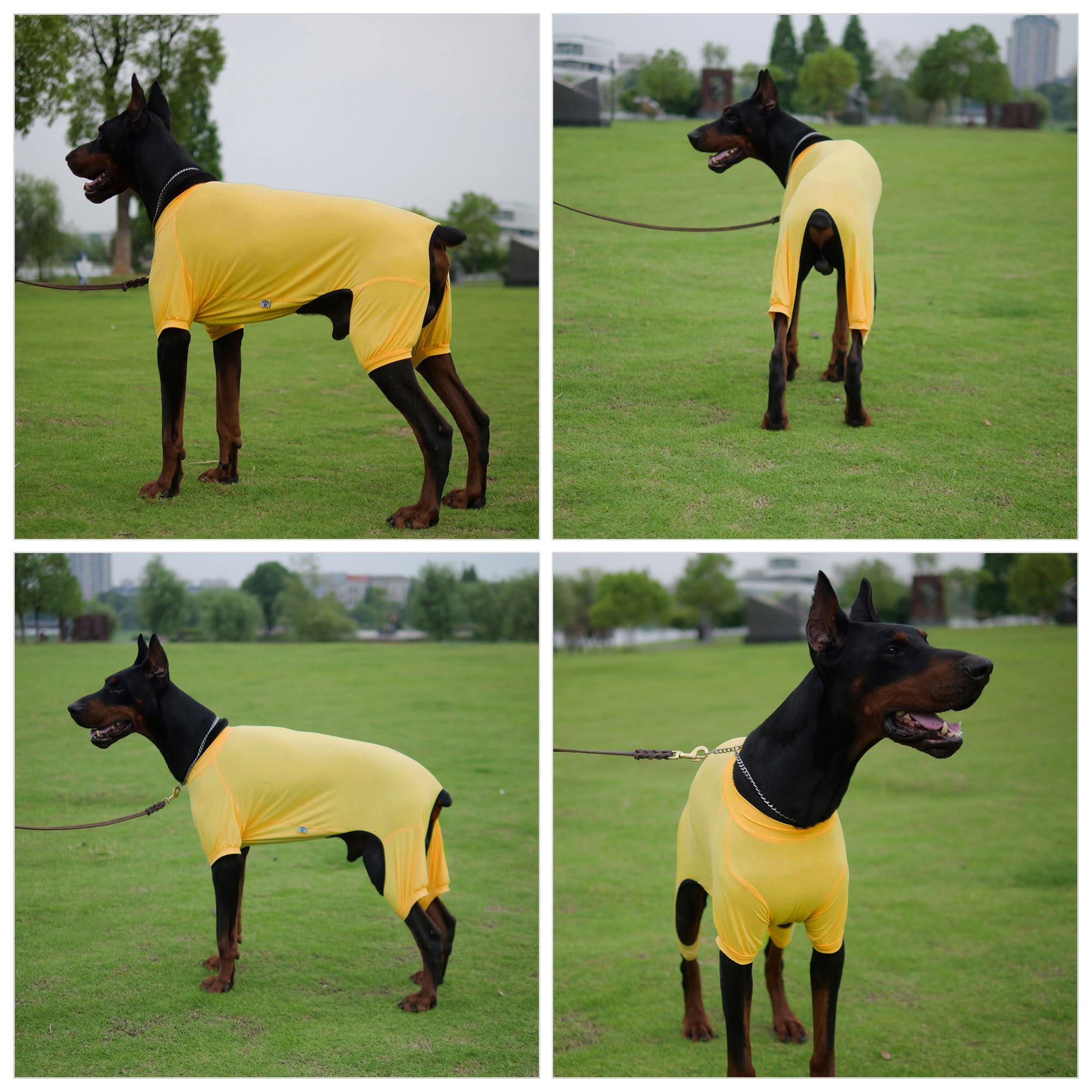 Lovelonglong Dog Jumpsuit With Uv Protection And Quick-Dry Fabric For Spring Summer Pet Pajamas Yellow M