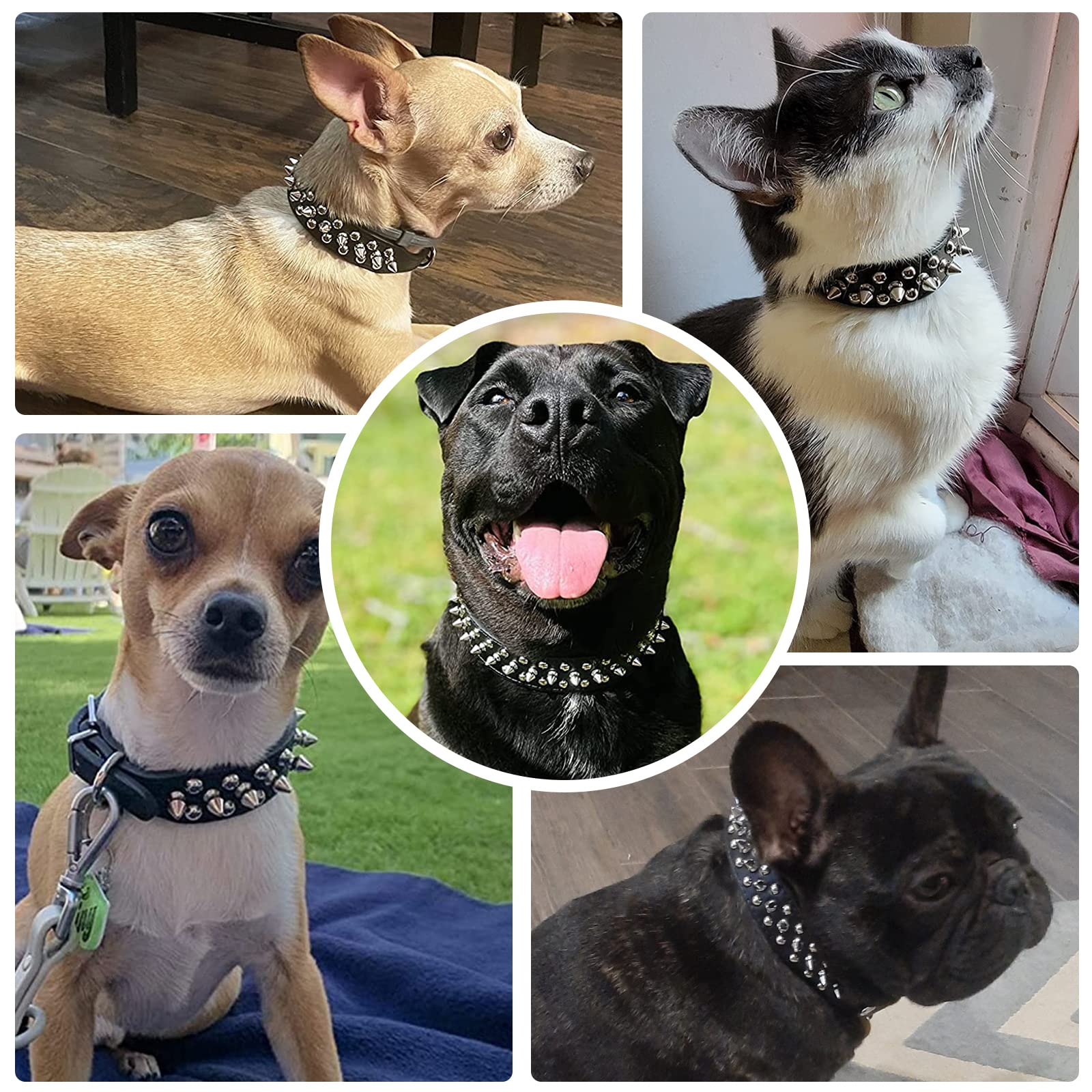 Doggyzstyle Spiked Dog Cat Collar Male Black Soft Leather Spike Puppy Collars Adjustable Mushroom Anti Bite Studded Dog Collars For Small Medium Large Dogs Chihuahua Yorkshire Pit Bull (Black,M)