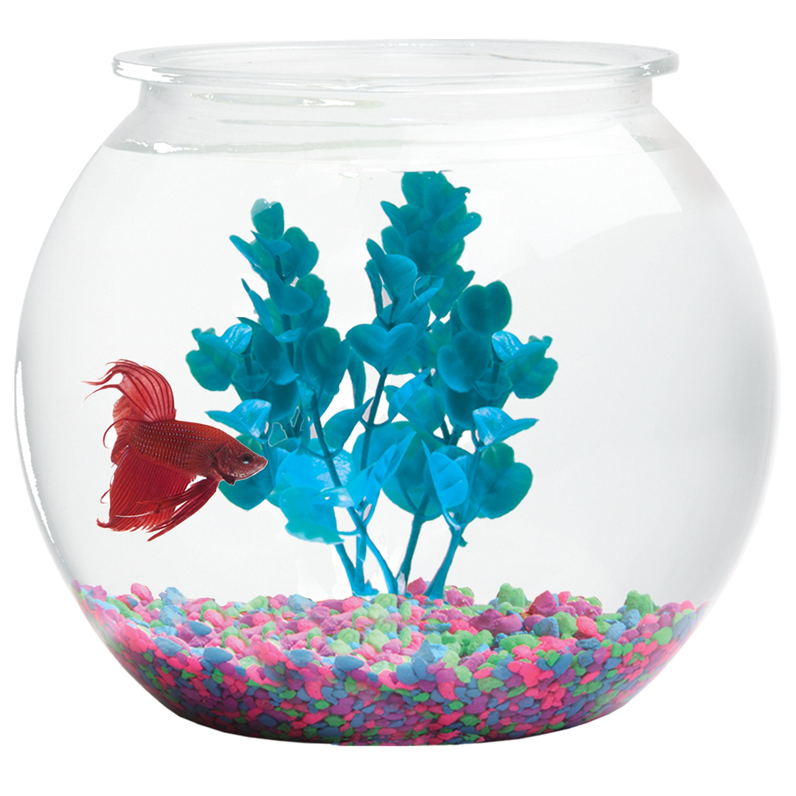 Aquatic Wonder 2 Gallon Fish Bowl, Round Crystal Clear Plastic is Break-Resistant and Light Weight. Ideal for Betta Fish Aquariu