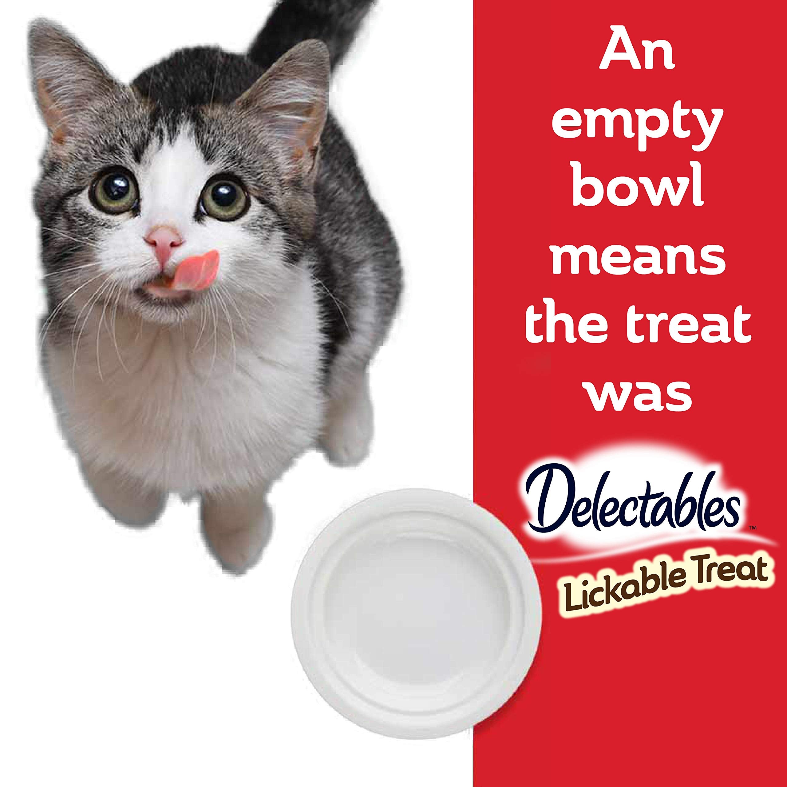 Delectables Senior Stew & Bisque Lickable Wet Cat Treats Variety Pack