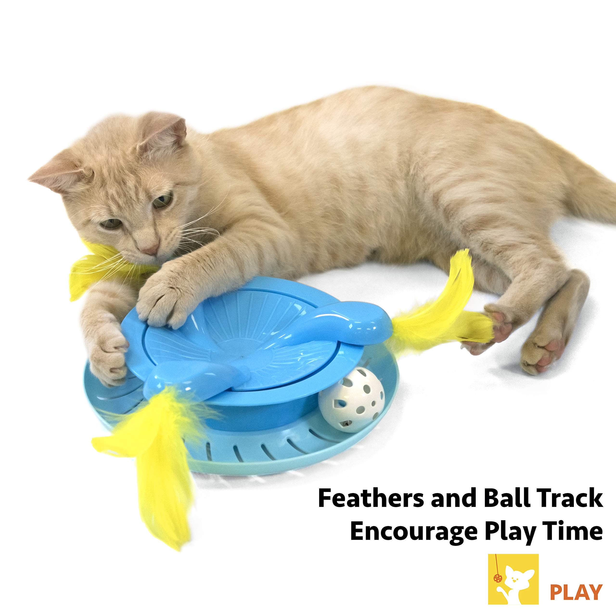 Kitty City Swat Track Cat Toy, 3 Toys In 1 Cat Toy, Deluxe And Basic Cat Toy Box, Ball Track