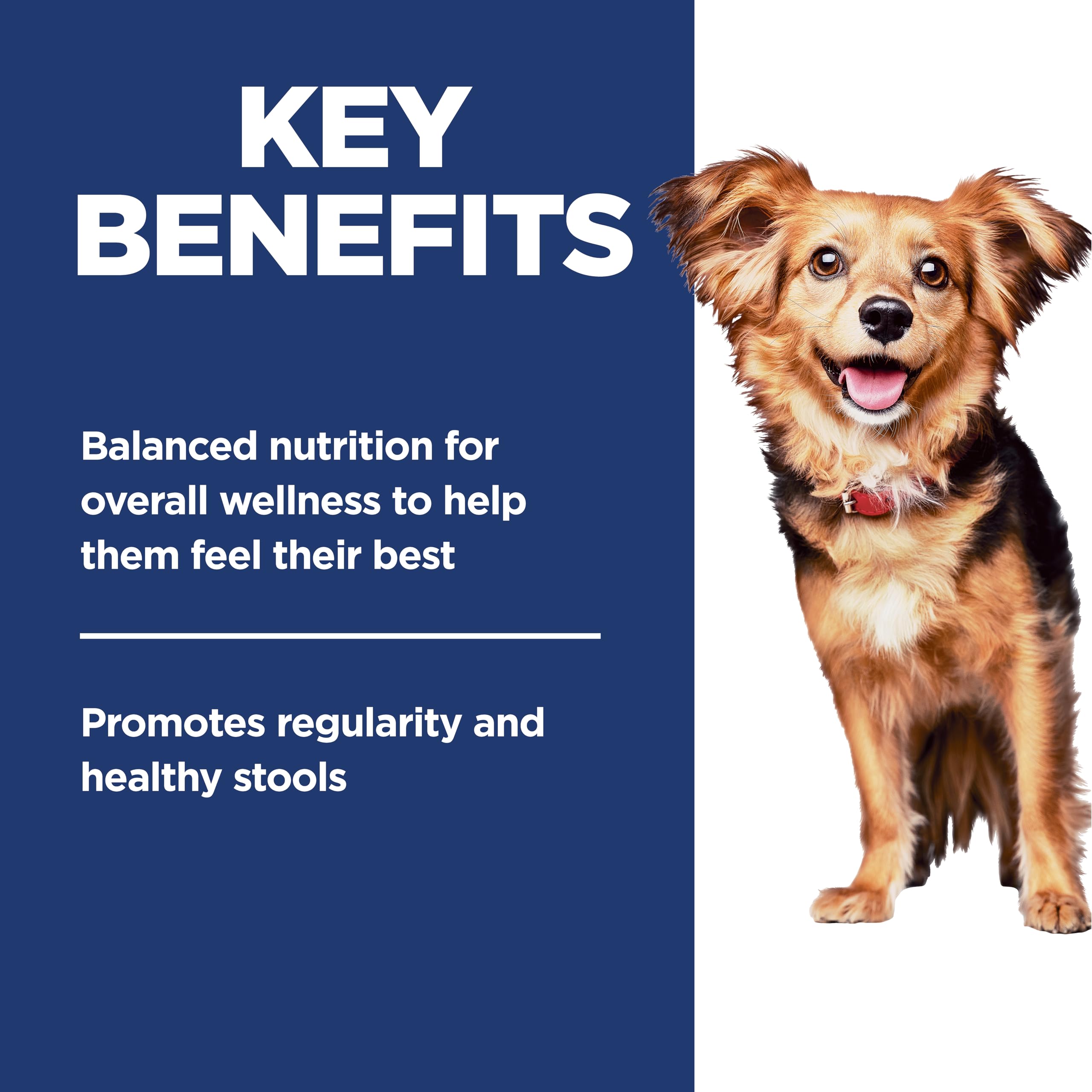 Hills Science Diet Perfect Digestion, Adult 1-6, Small & Mini Breeds Digestive Support, Dry Dog Food, Chicken & Brown Rice, 12