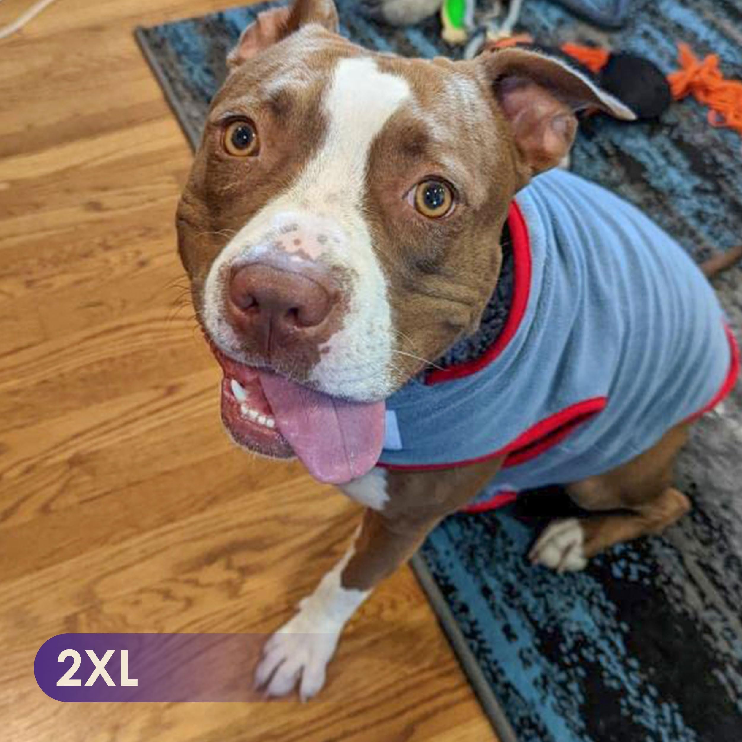 Cyeollo Reversible Winter Coat - Large Dog Sweater Vest, Fleece Sherpa Jacket For Small To Xxxl Dogs, Blue, With Leash Hole