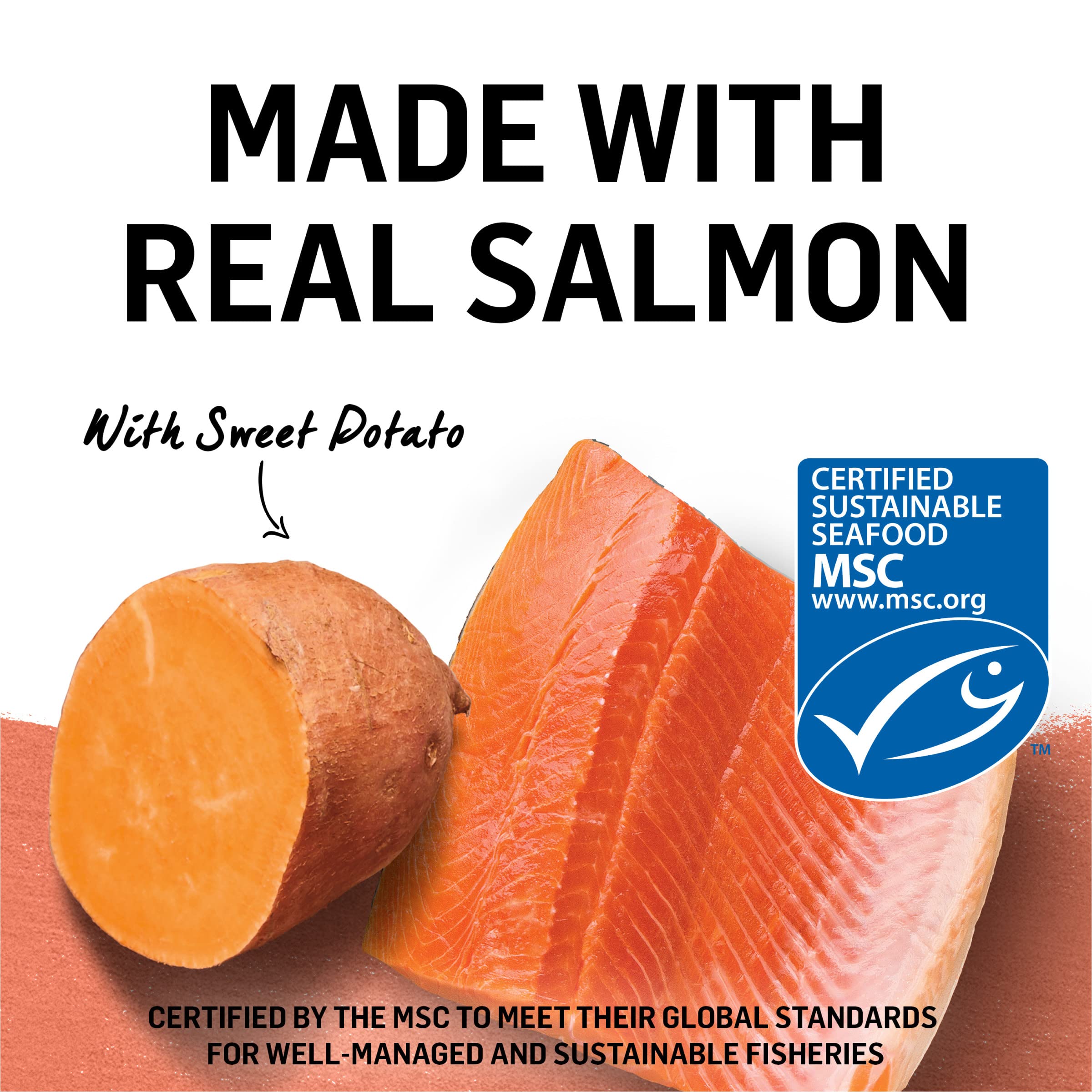 Purina Beyond Wild Alaskan Salmon and Sweet Potato Recipe In Wet Cat Food Gravy - (Pack of 12) 3 Oz. Cans