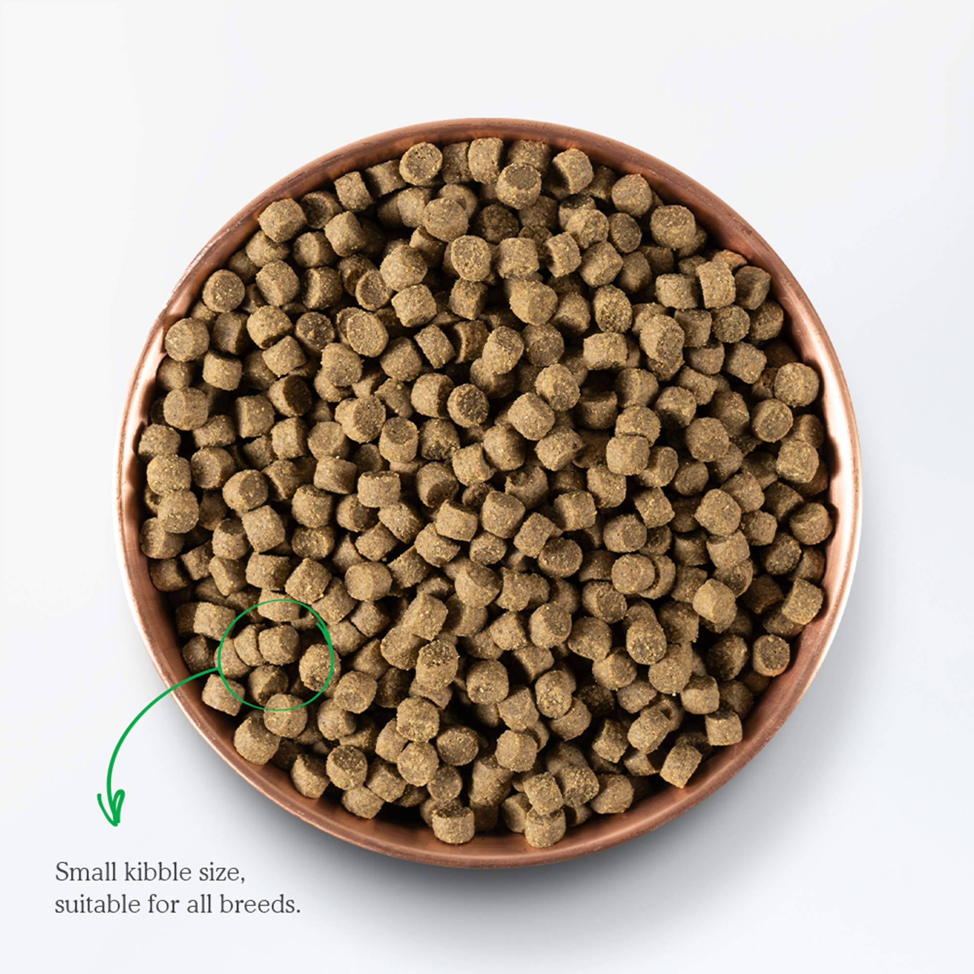 Open Farm Catch-of-The-Season Whitefish & Ancient Grains Dry Dog Food, Wild-Caught Whitefish Recipe with Wholesome Grains and No