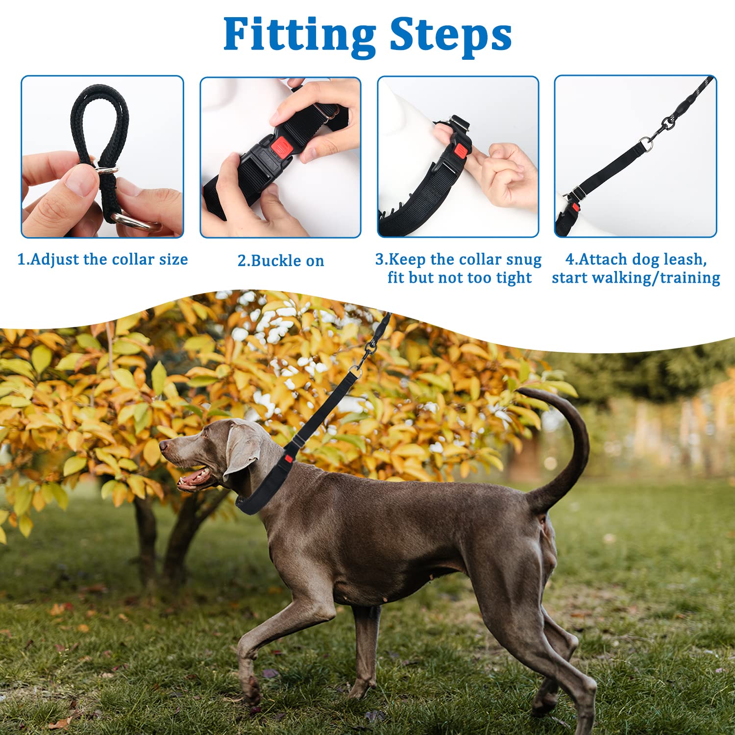 Martingale Collar For Dogs, No Pull Dog Collar For Small Medium Large Dogs, Dog Walking Collar For Pulling, Anti Pull Dog Martingale Training Collars With Buckle (M, Black)