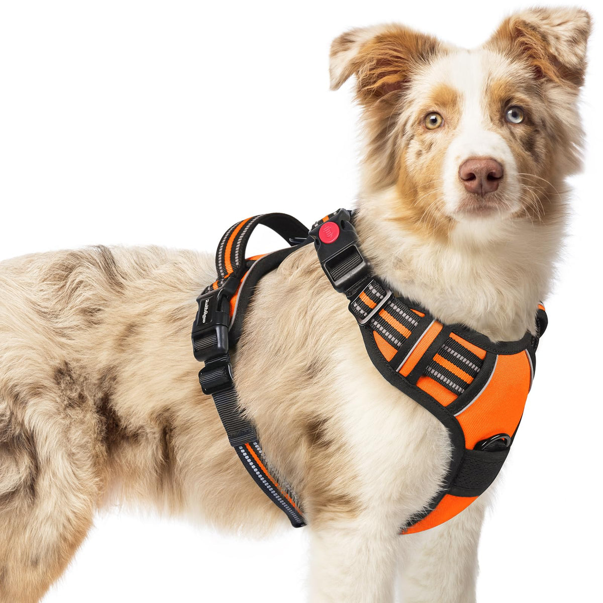 Rabbitgoo Dog Harness Medium Sized, No Pull Pet Harness With 3 Buckles, Adjustable Soft Padded Pooch Vest With Instant Control Handle, Easy Walking Reflective Pet Vest For Medium Dogs, Orange, M