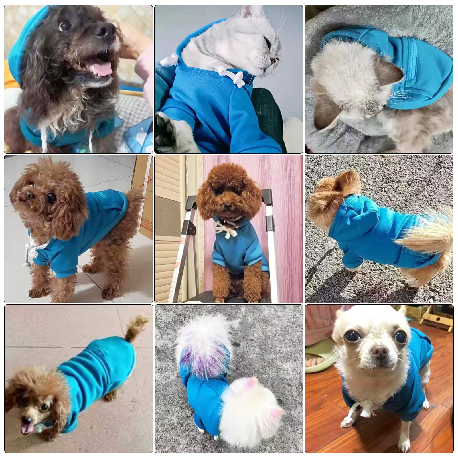 Petcare Small Dog Hoodie Cat Sweater Blue Warm Soft Fleece Sweatshirts With Pocket Fall Winter Puppy Sweaters Cat Clothes For Ca
