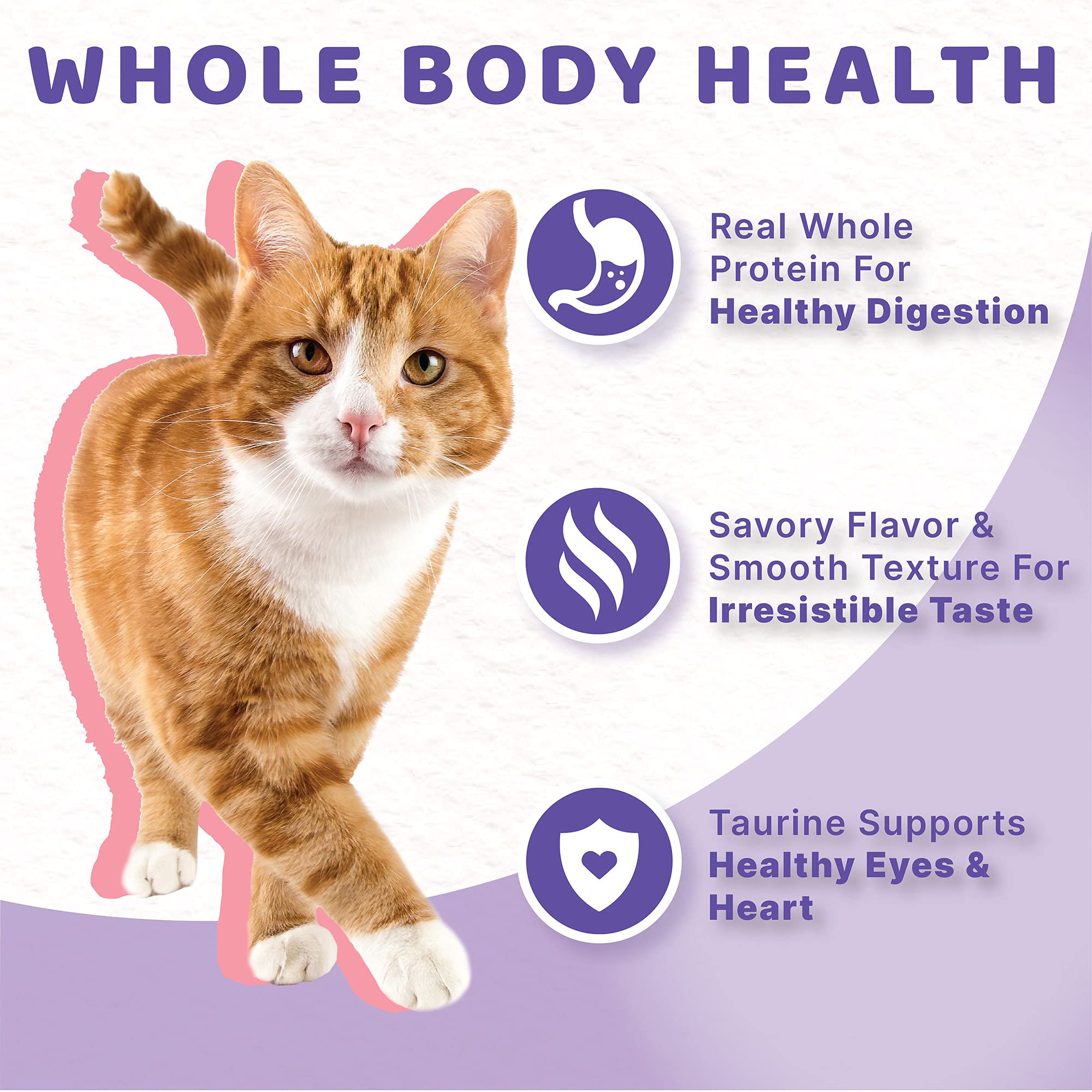 Halo Wet Cat Food Whole Salmon Stew Recipe, Grain Free Wet Cat Pate, Canned Cat Food for Extra Hydration, 5.5 Oz Can (Pack of 12