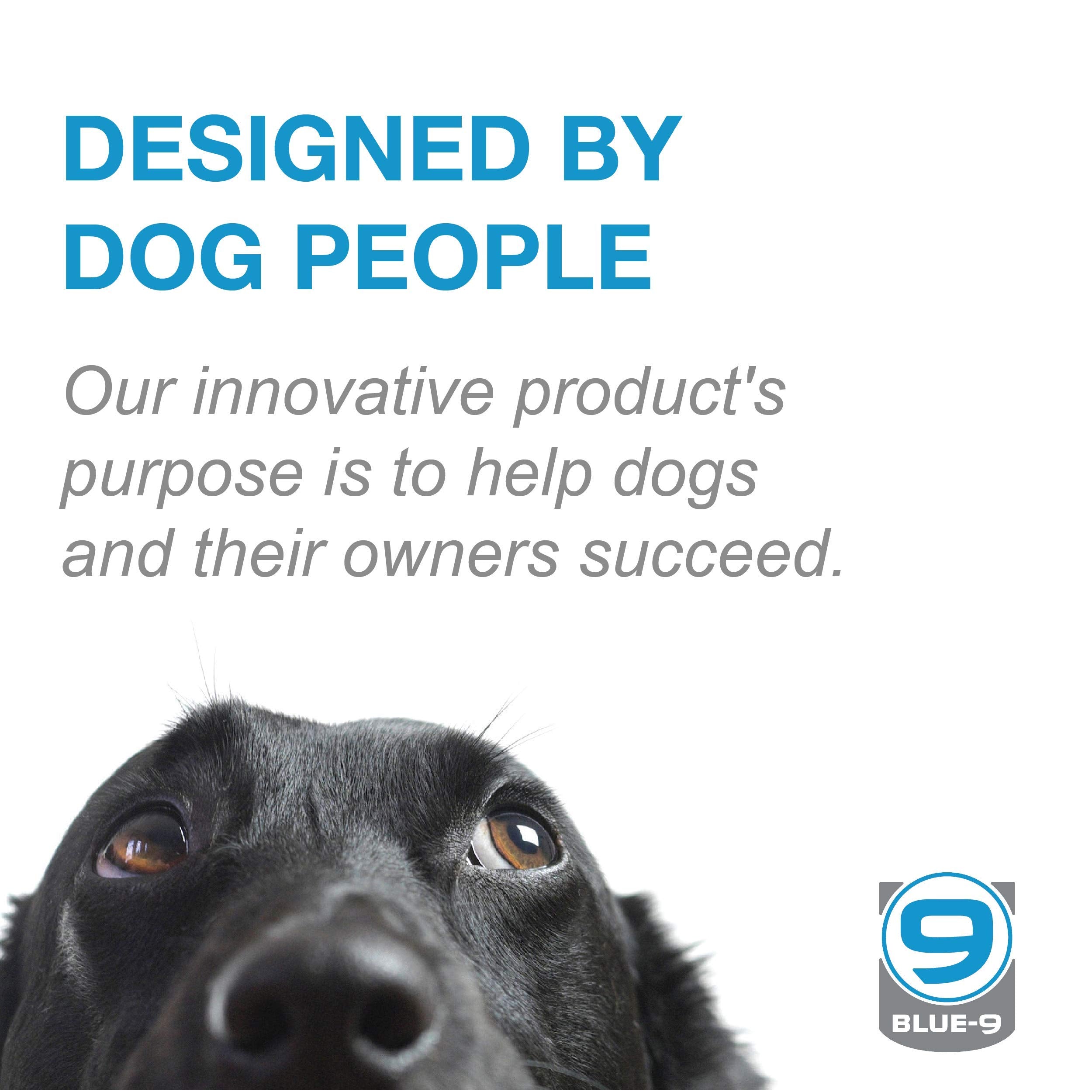 Blue-9 Pet Products Klimb Dog Training Platform And Agility System, Durable And Portable For Indoor Or Outdoor Use, Black