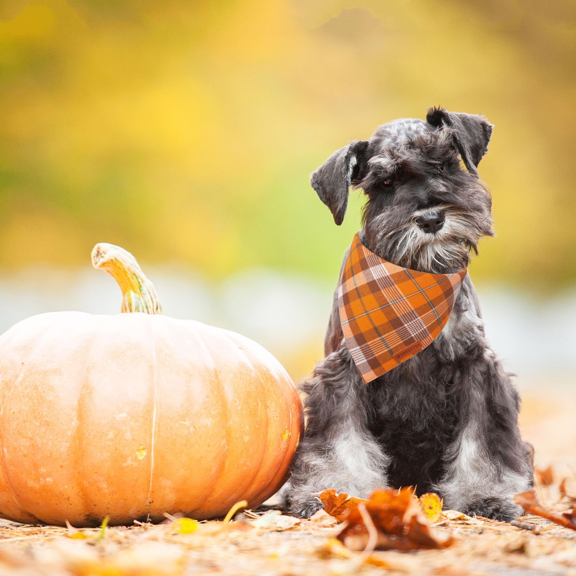 ADOGGYGO Fall Dog Bandanas 2 Pack, Halloween Thanksgiving Holiday Pet Scarf, Multiple Sizes Offered, Orange Plaid Fall Bandana f