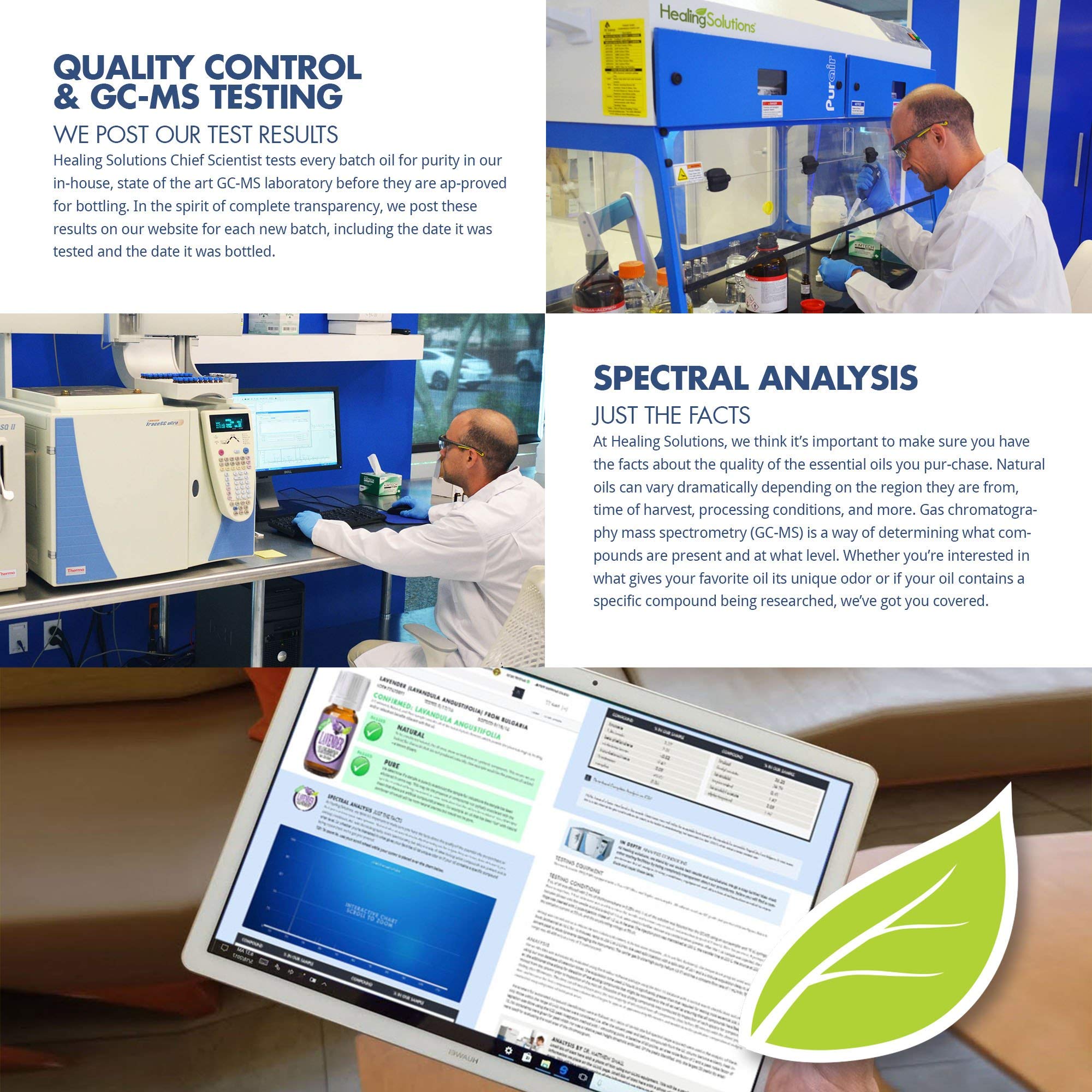 Healing Solutions Nutmeg Essential Oil - 10ml (0.33 Fl Oz) - Organic Aromatherapy Oil for Relaxation and Wellness