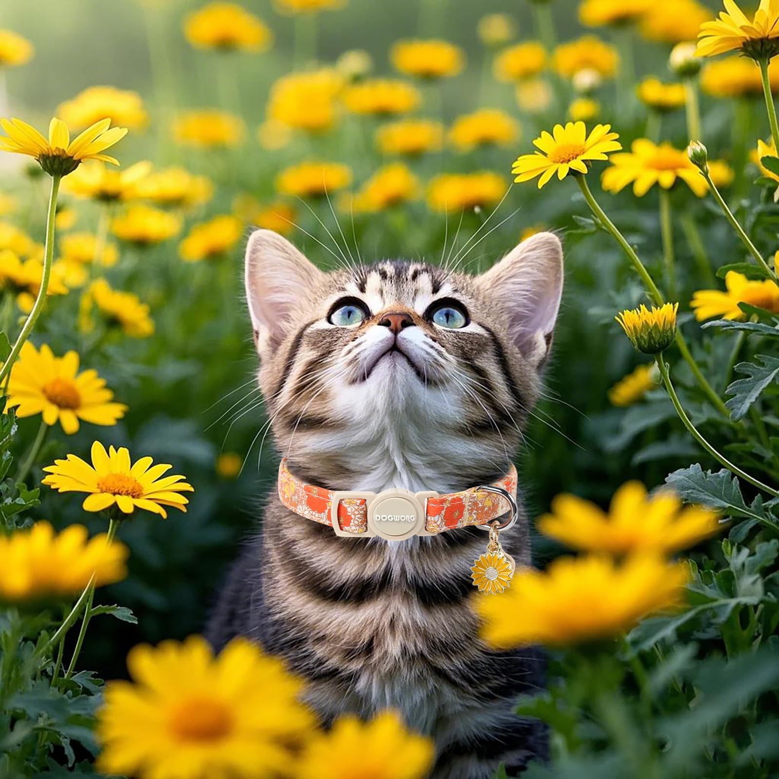 2 Pack Flower Cat Collars Breakaway With Bell, Dogwong Safety Buckle Rose Floral Cute Cat Collar For Girl Boy Cats,Adjustable 7-